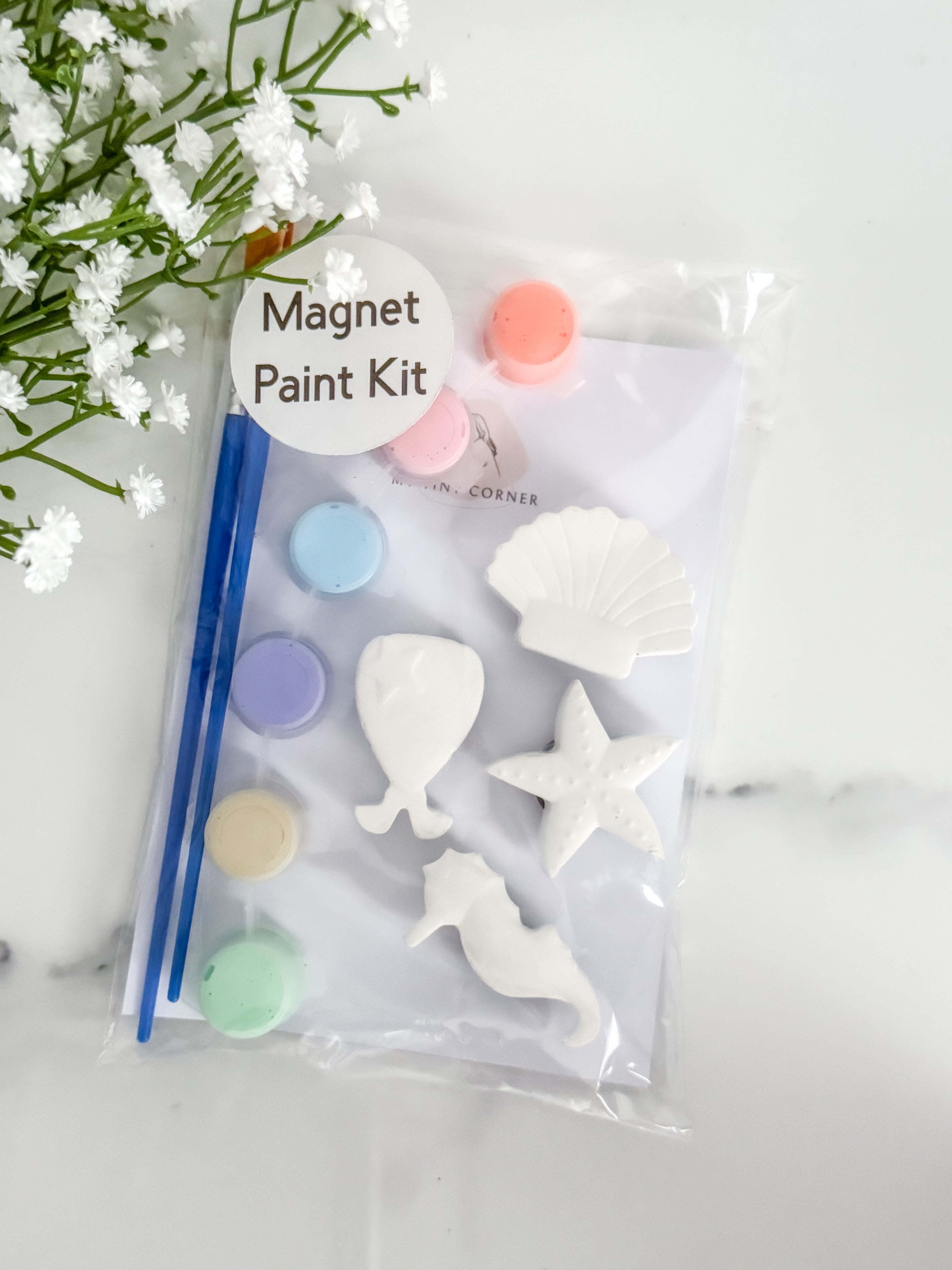 Mermaid Magnet Paint Kit