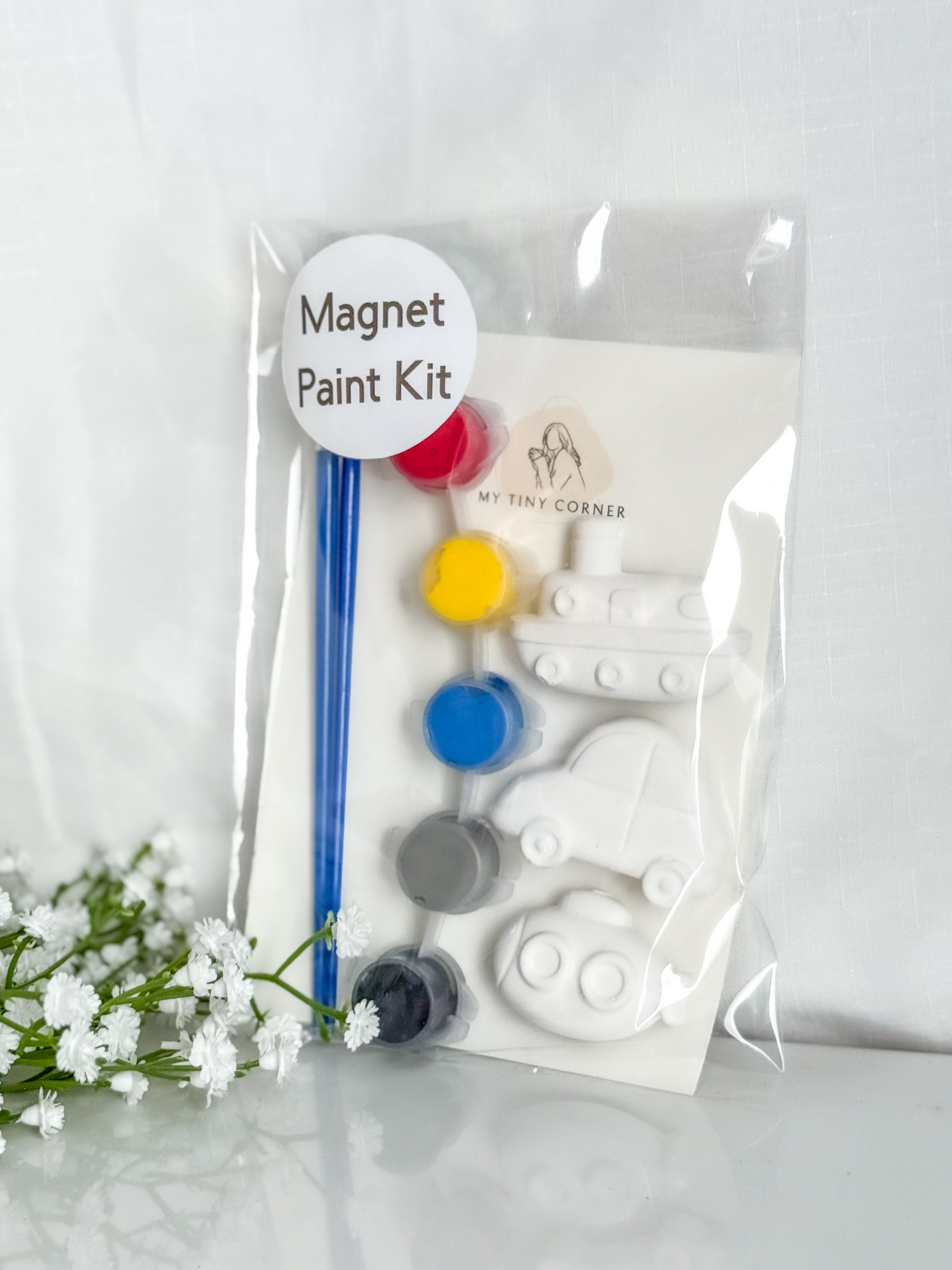 Transport Magnet Paint Kit