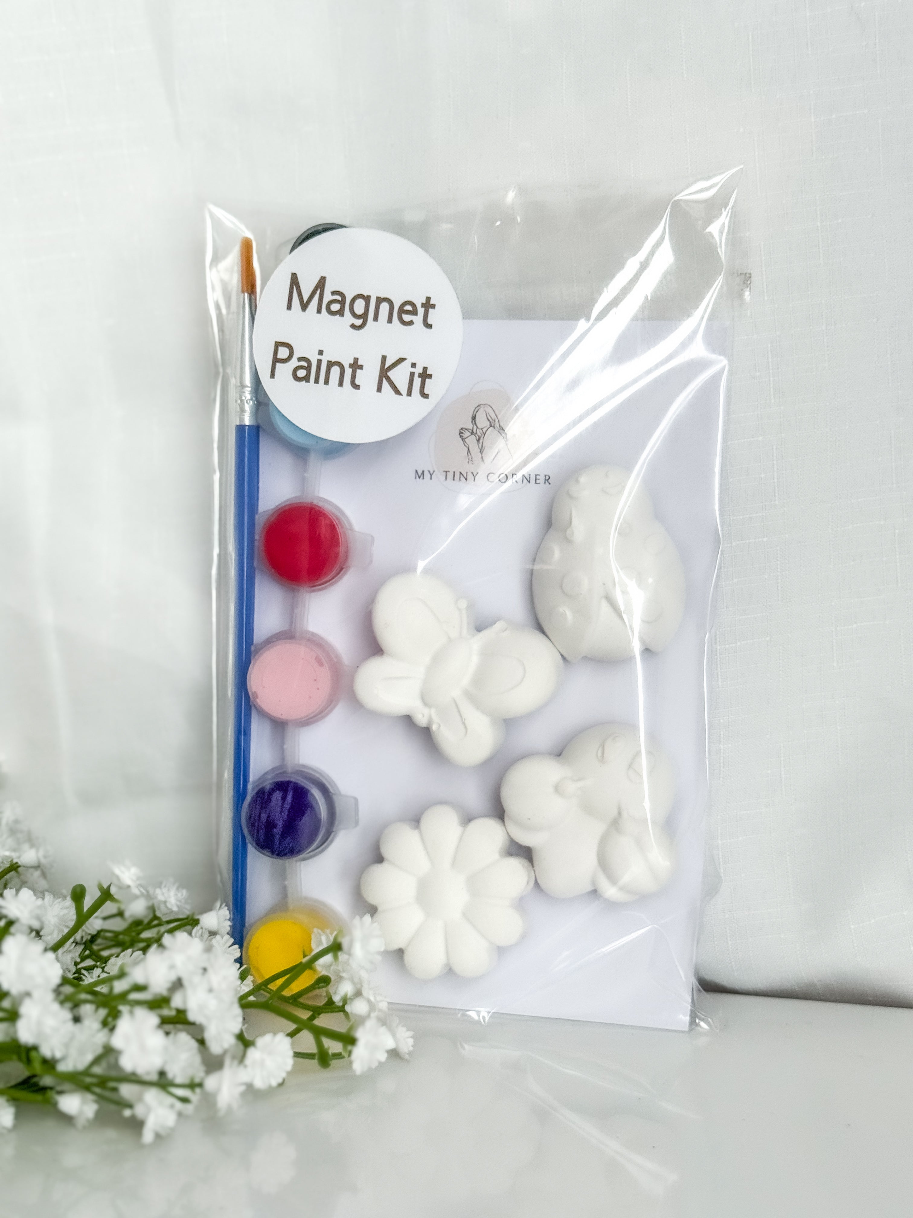 Ladybug Magnet Paint Kit