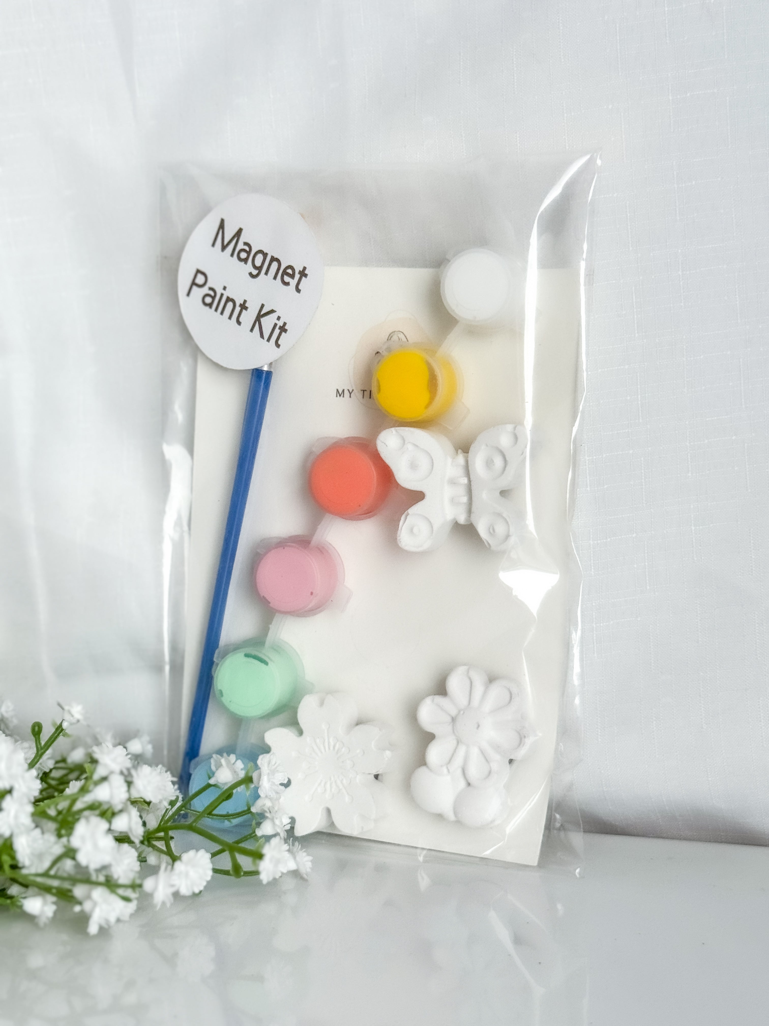 Butterfly Magnet Paint Kit
