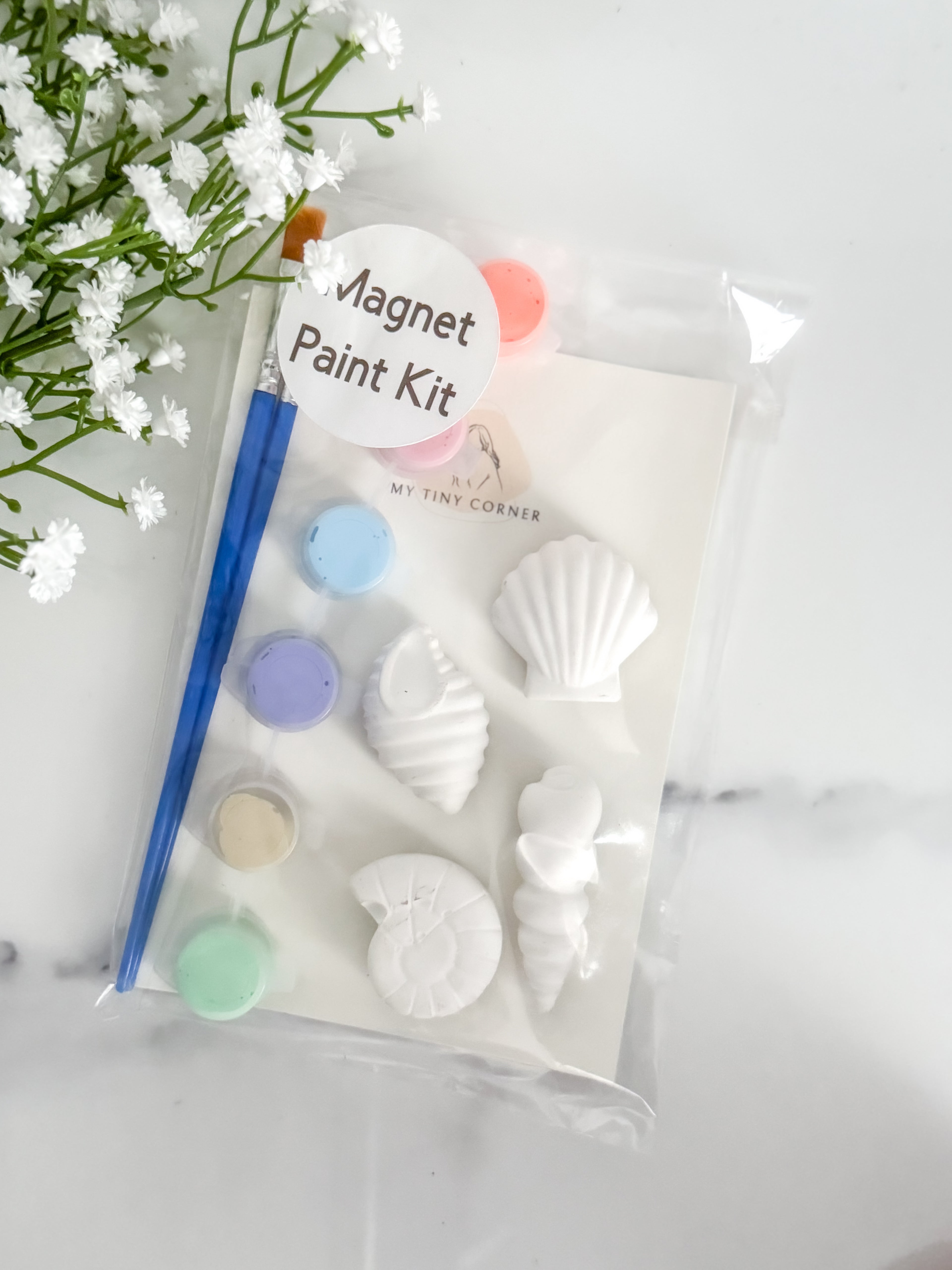 Seashell (Horn) Magnet Paint Kit