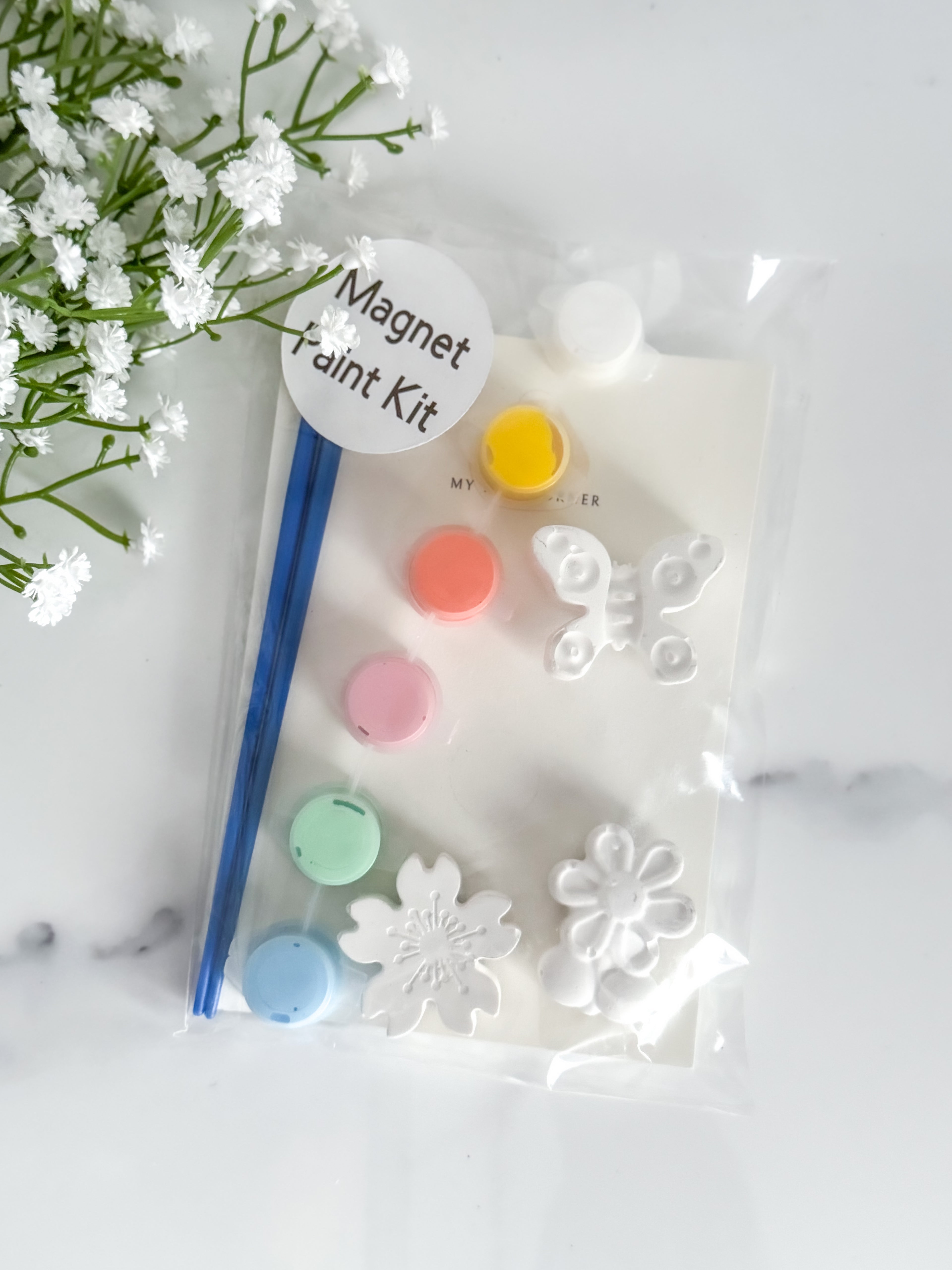 Butterfly Magnet Paint Kit
