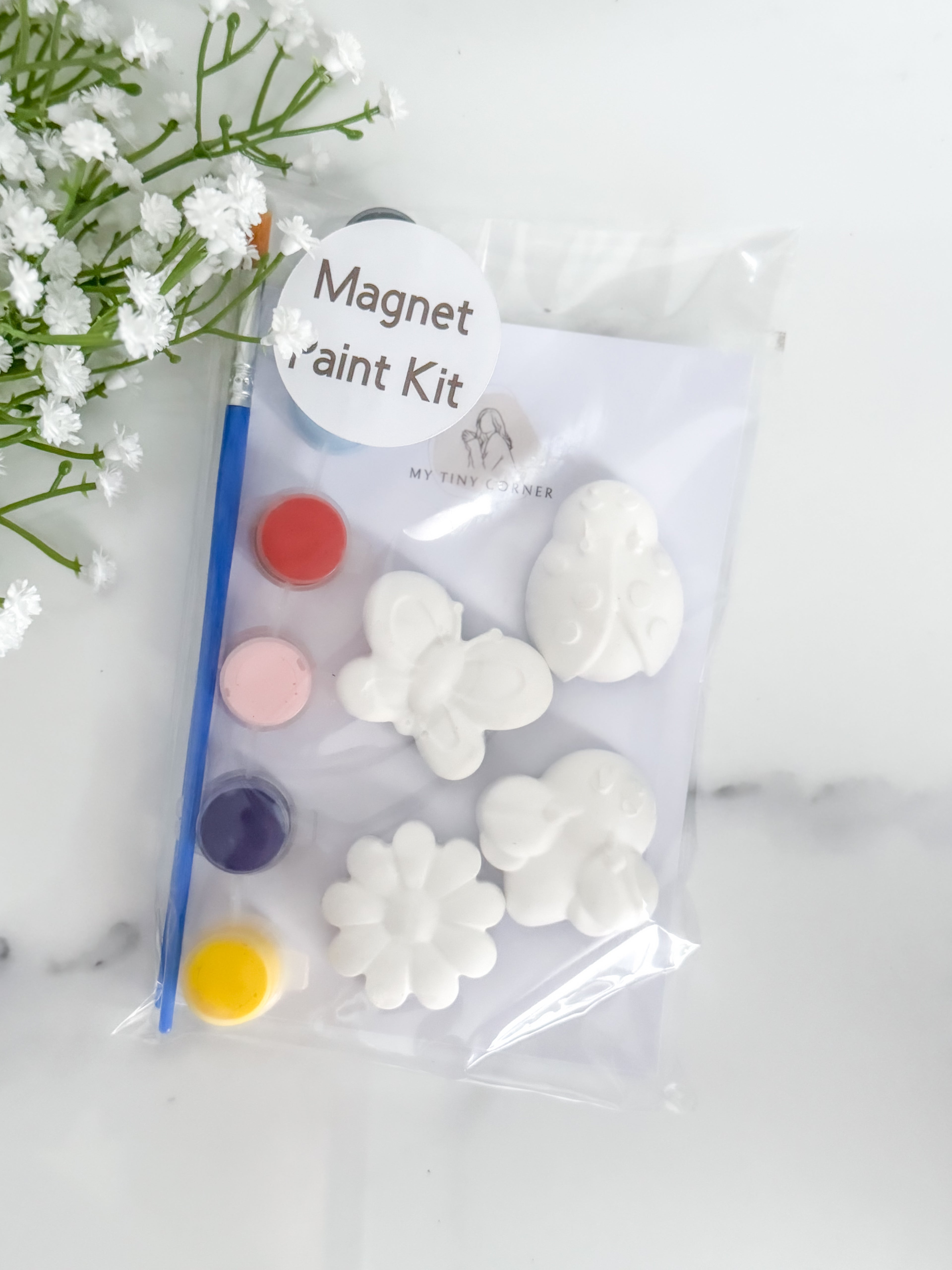 Ladybug Magnet Paint Kit