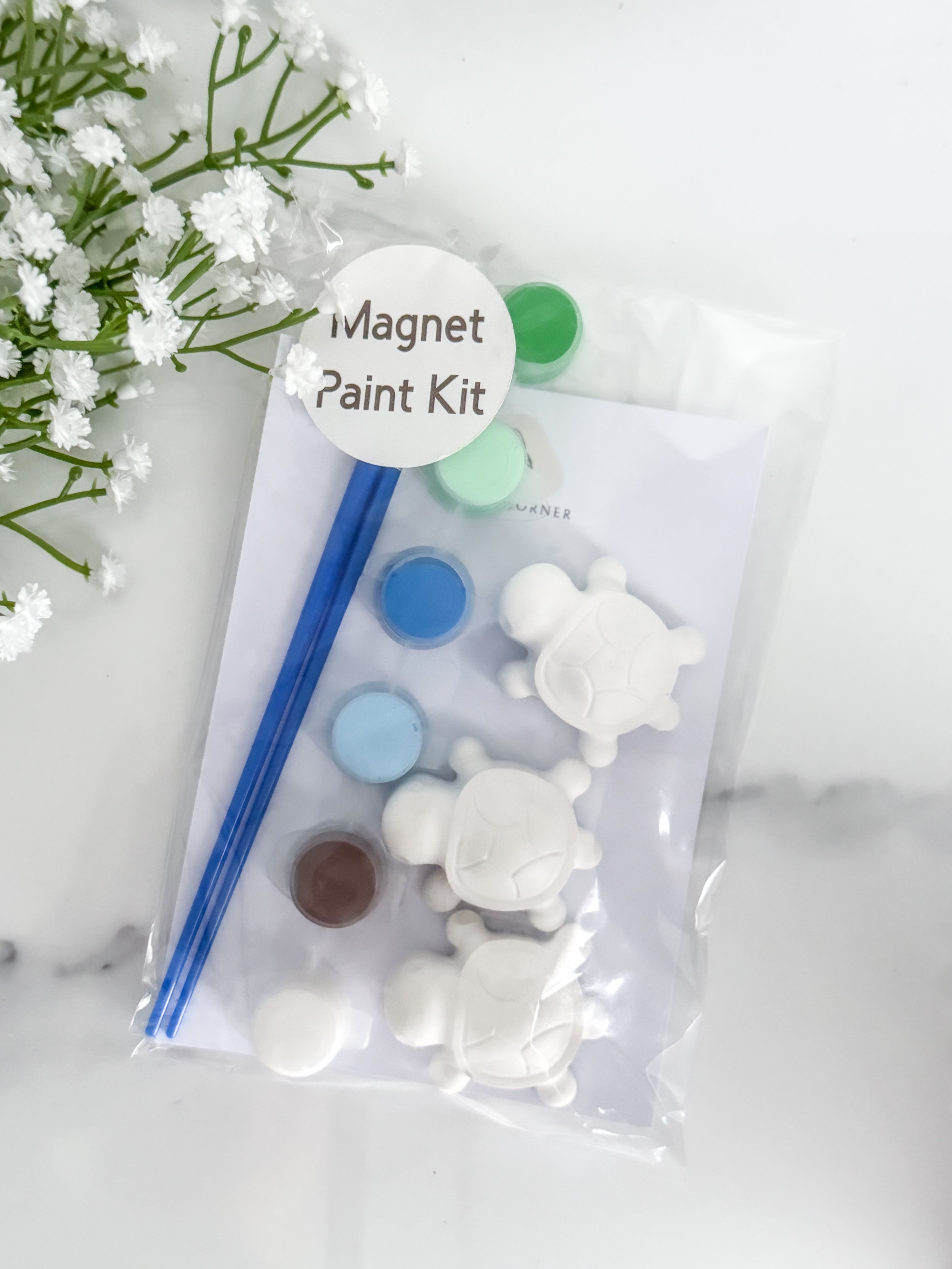 Three Turtles Magnet Paint Kit