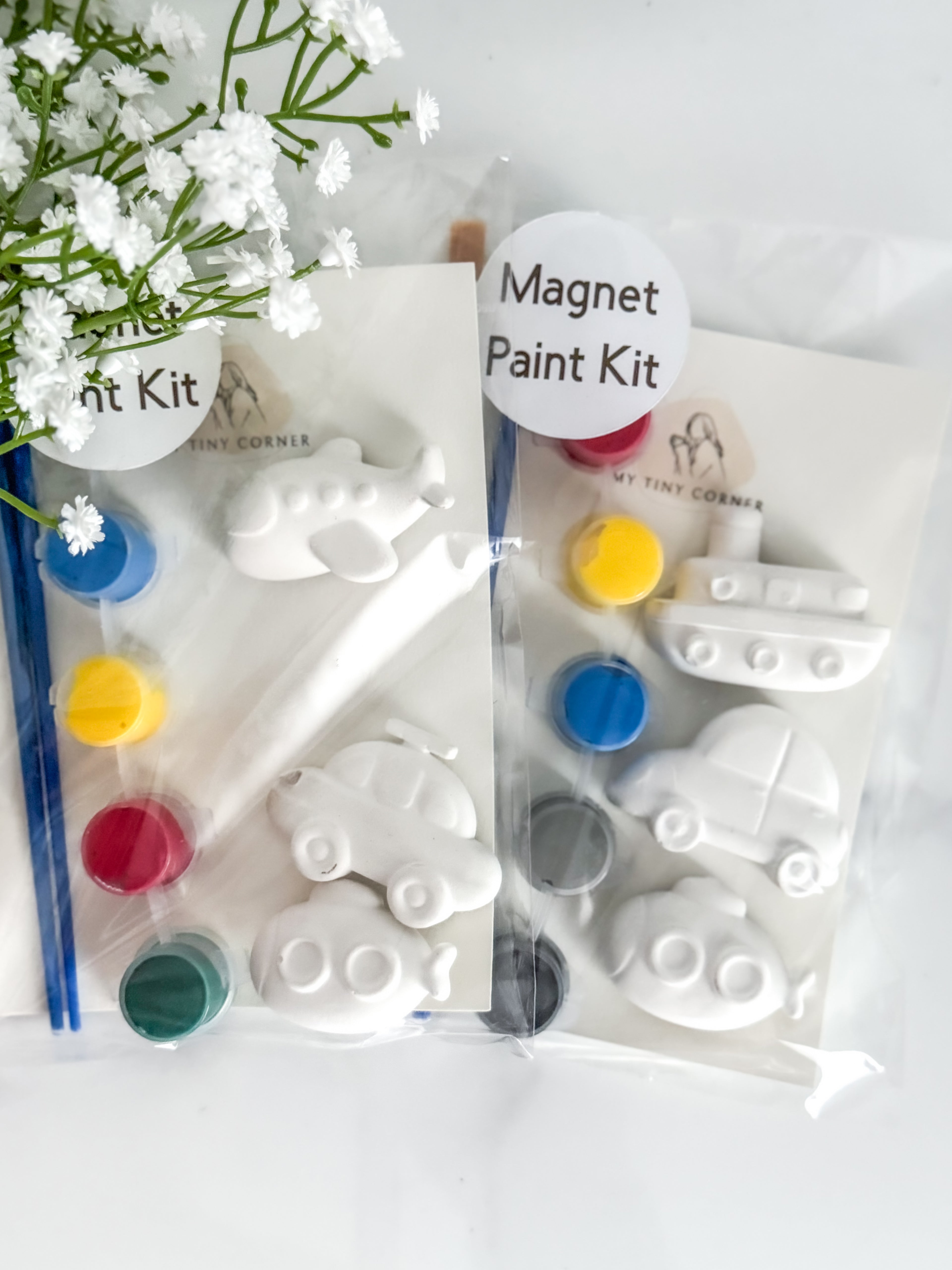 Transport Magnet Paint Kit