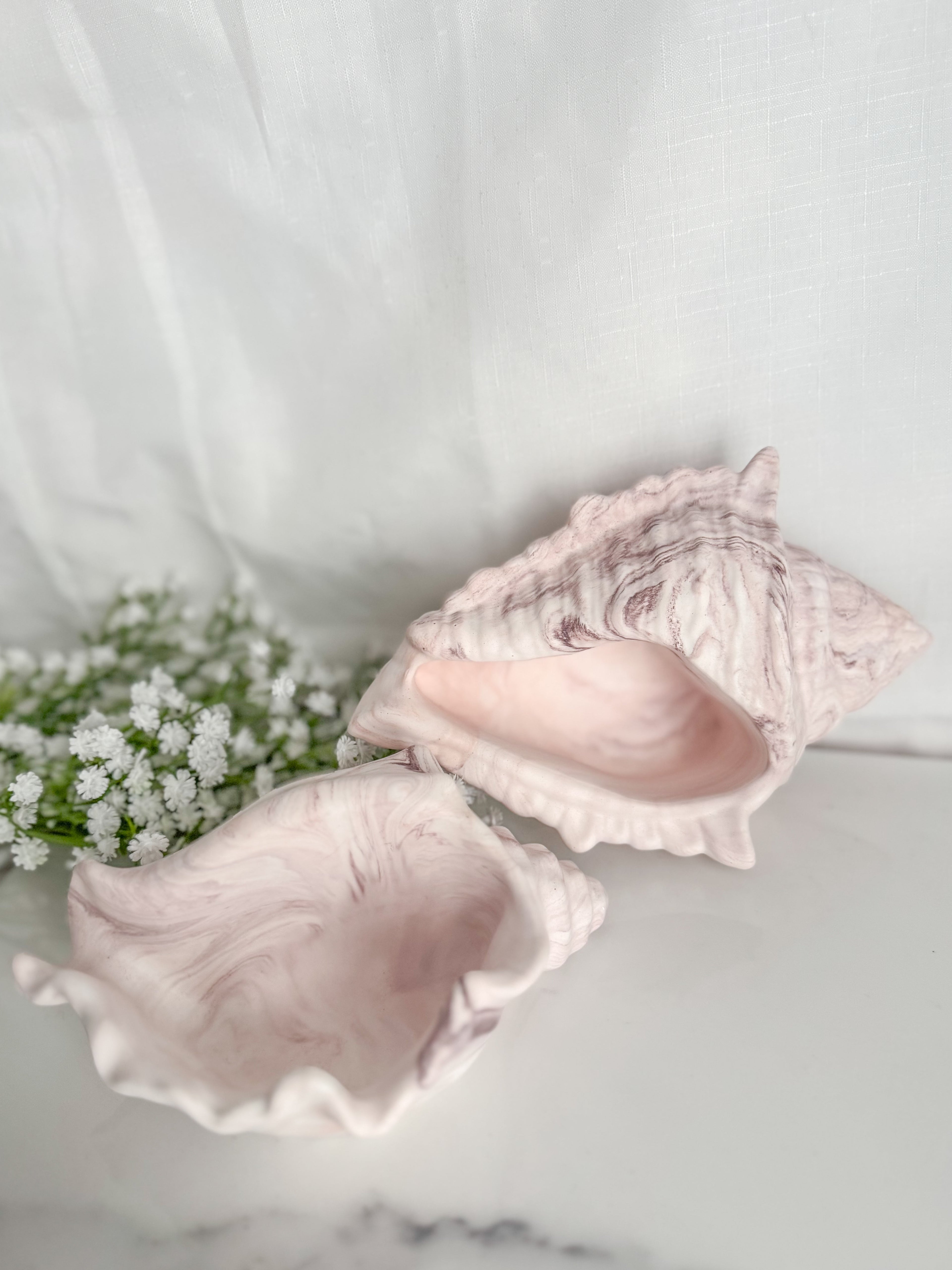 Conch Shells