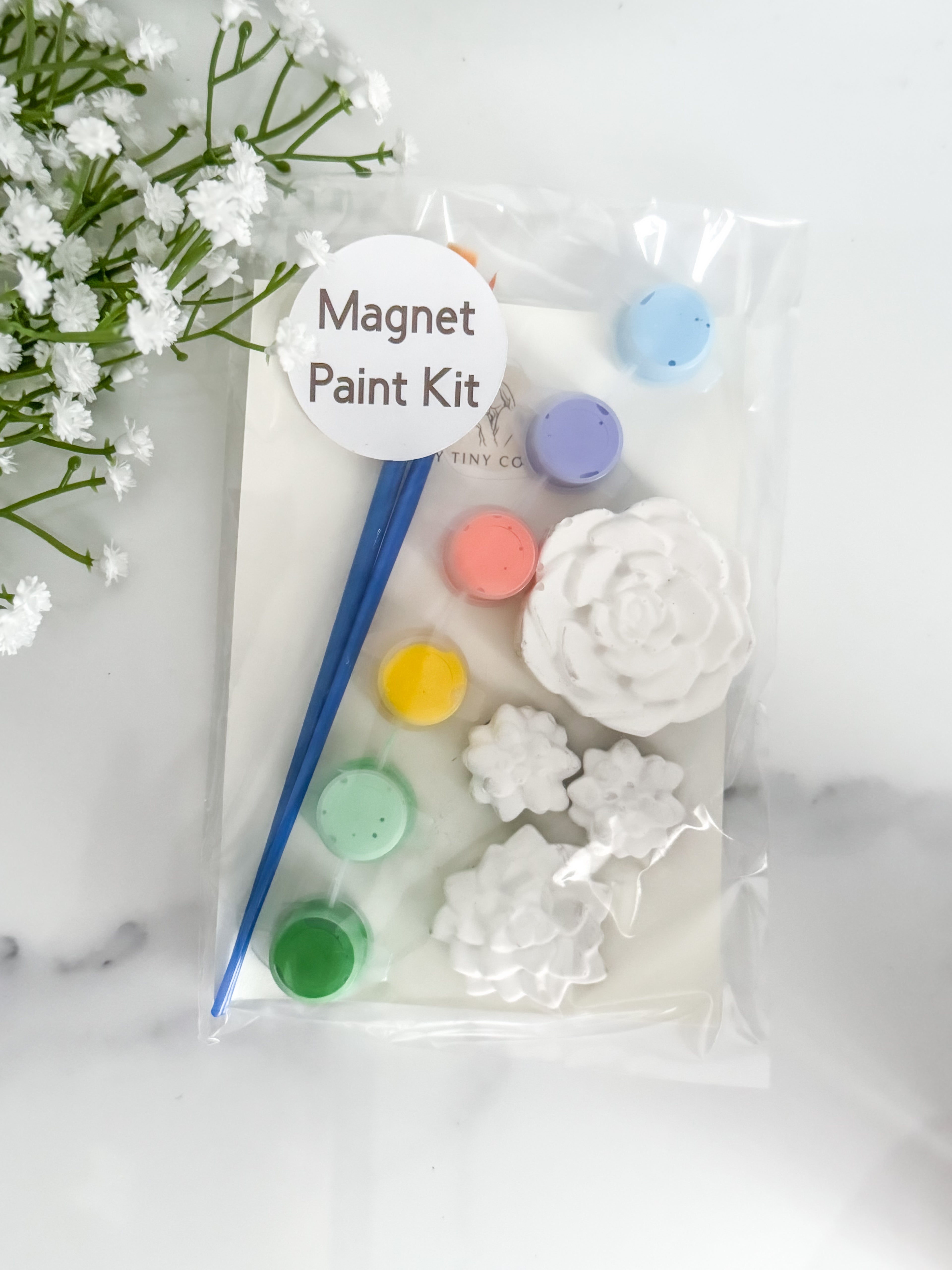 Succulent Magnet Paint Kit