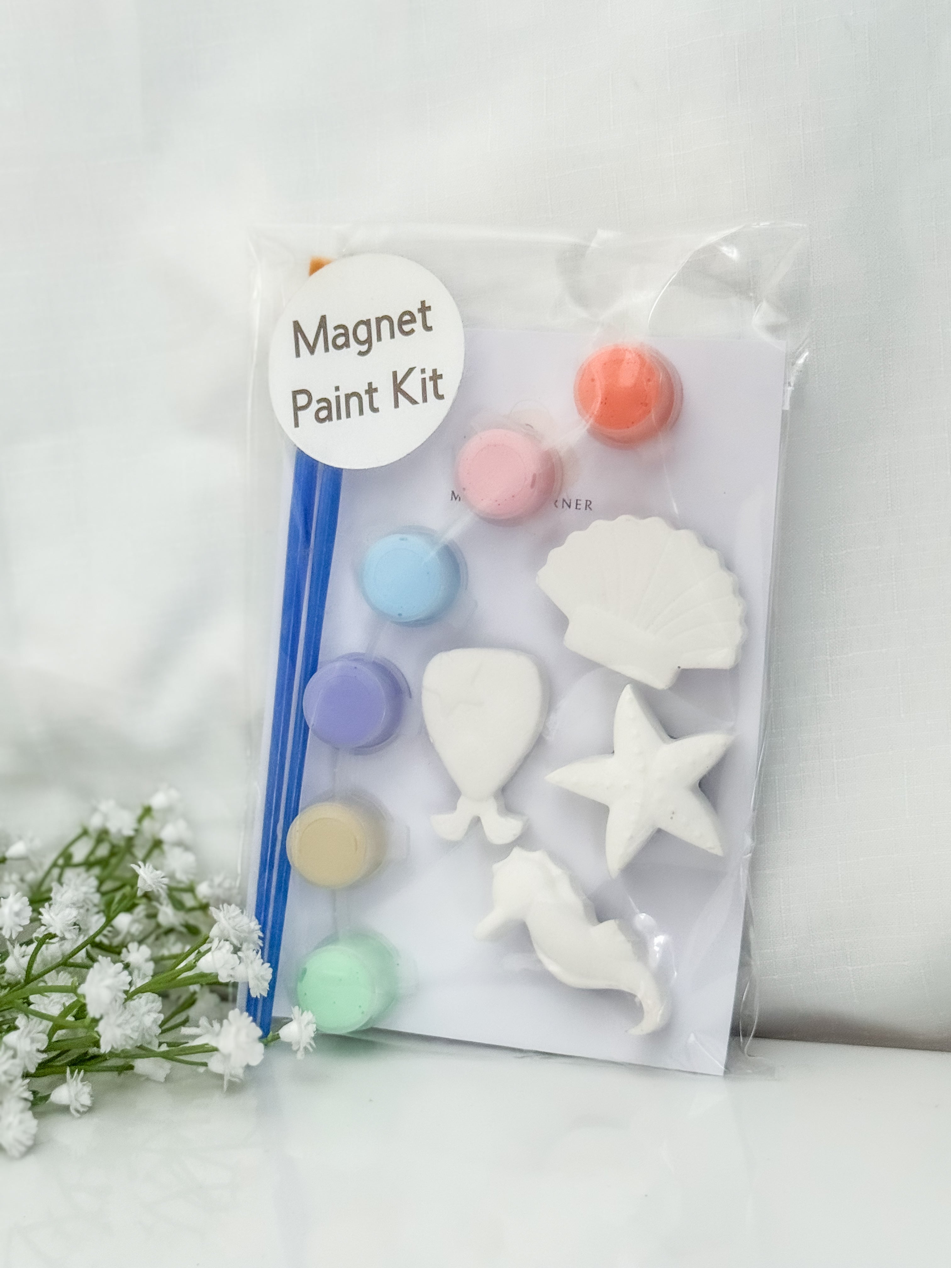 Mermaid Magnet Paint Kit