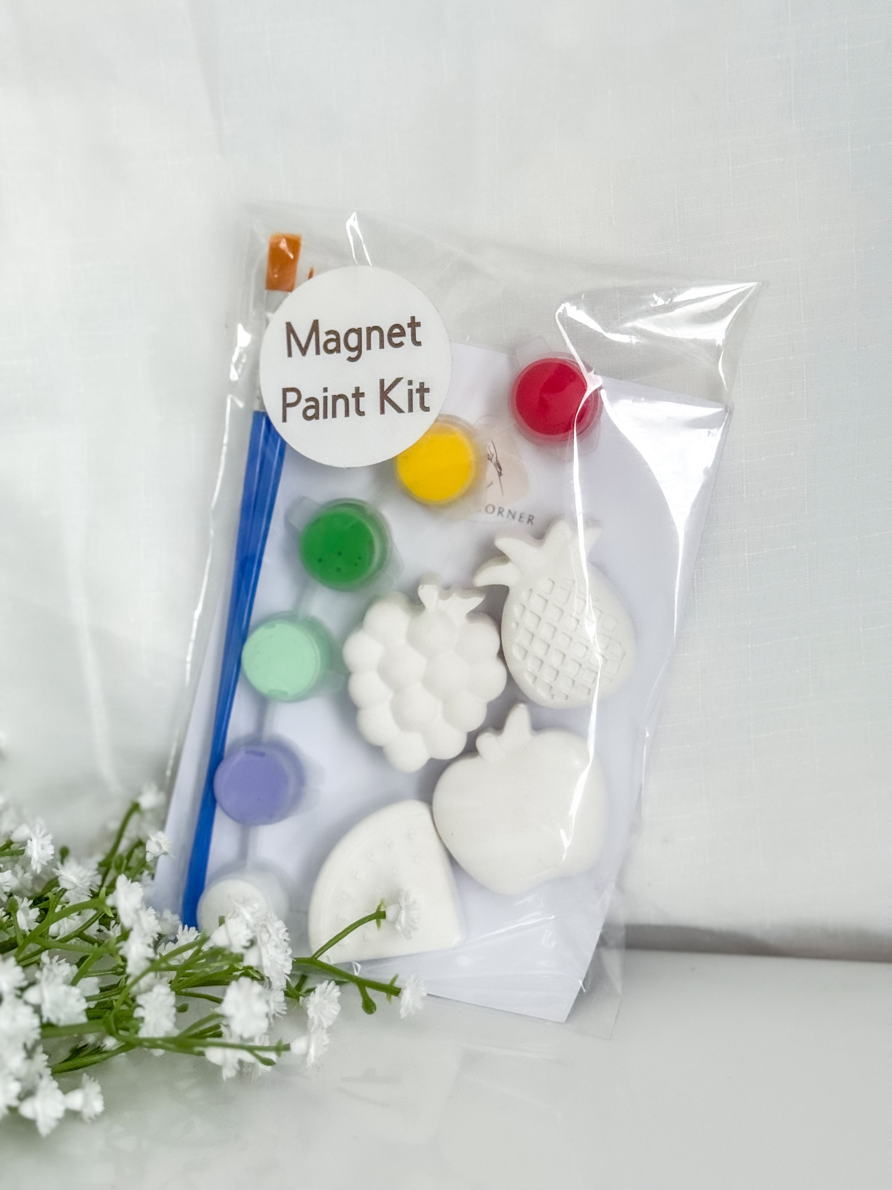 Fruit Kit (Grapes) Magnet Paint Kit