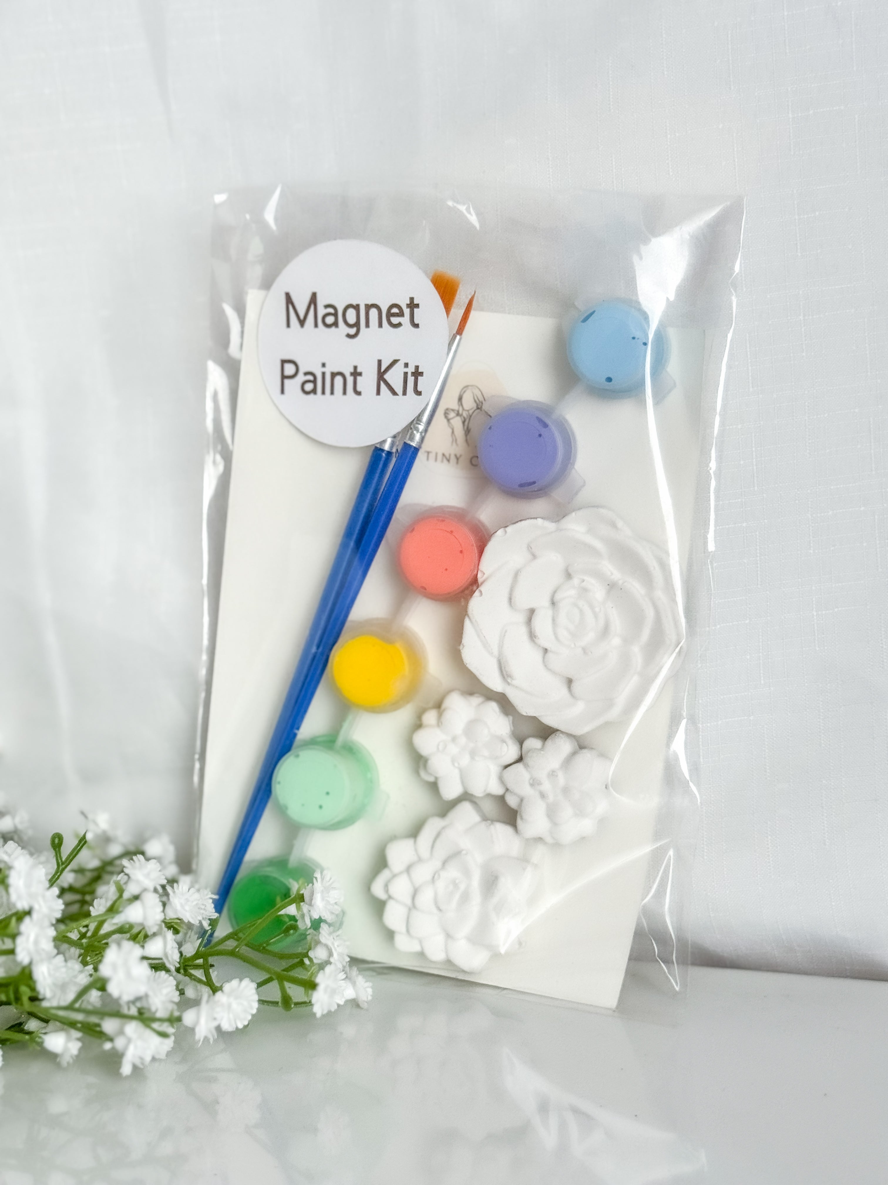 Succulent Magnet Paint Kit