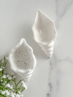 Conch Shell Ring Dish