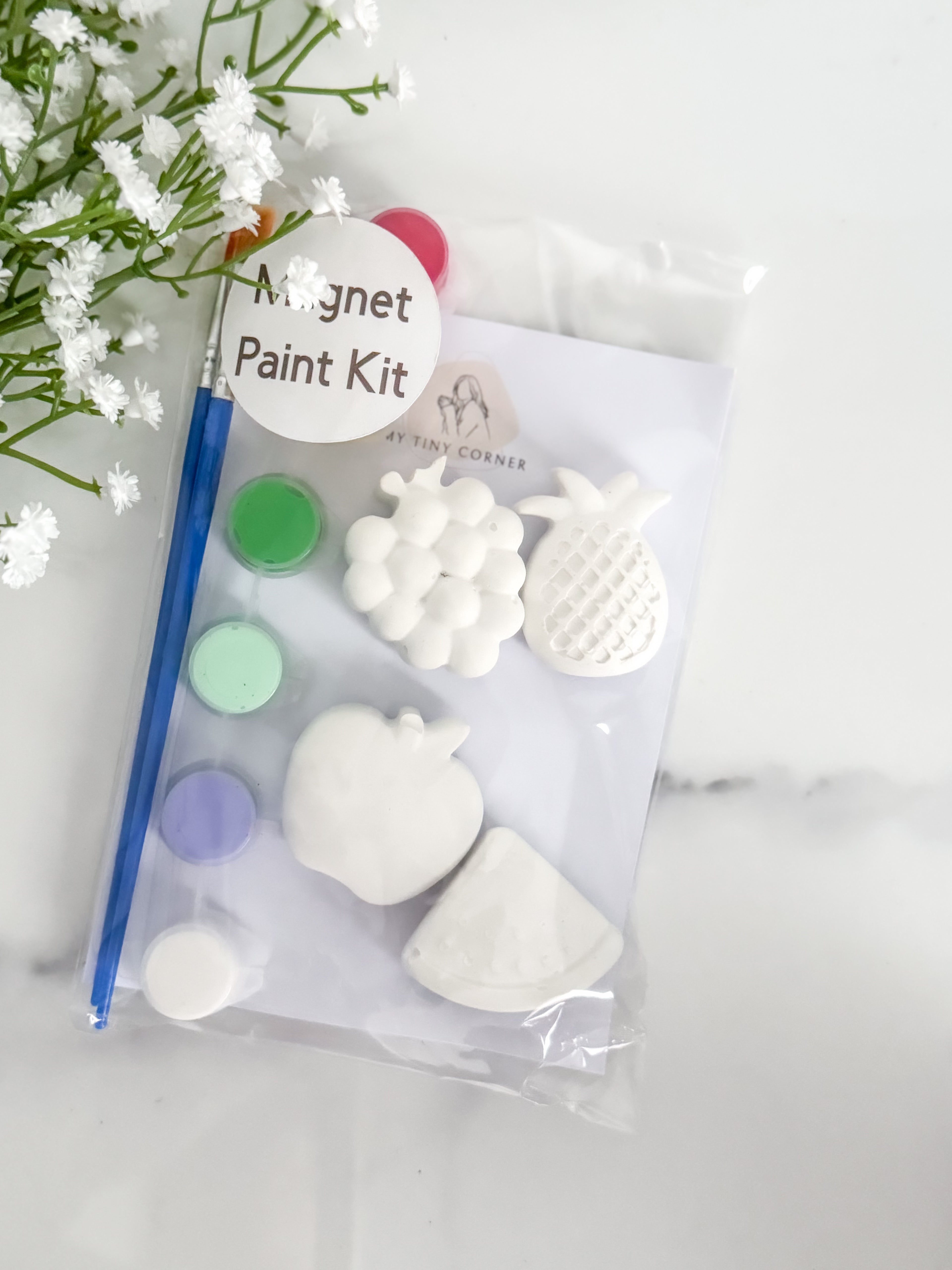 Fruit Kit (Grapes) Magnet Paint Kit