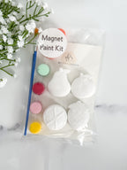Fruit Kit (Pear) Magnet Paint Kit