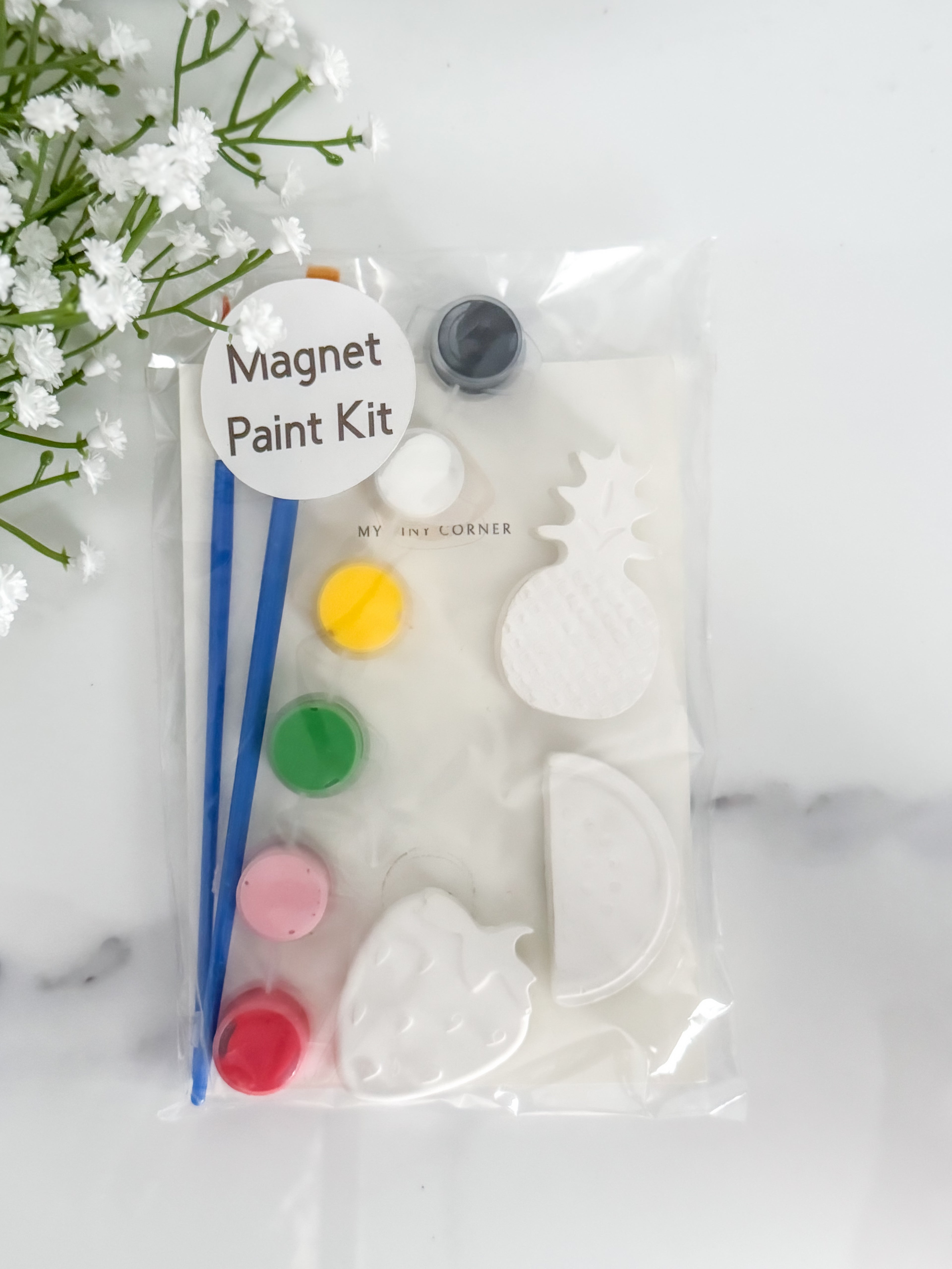 Original Fruit Magnet Paint Kit