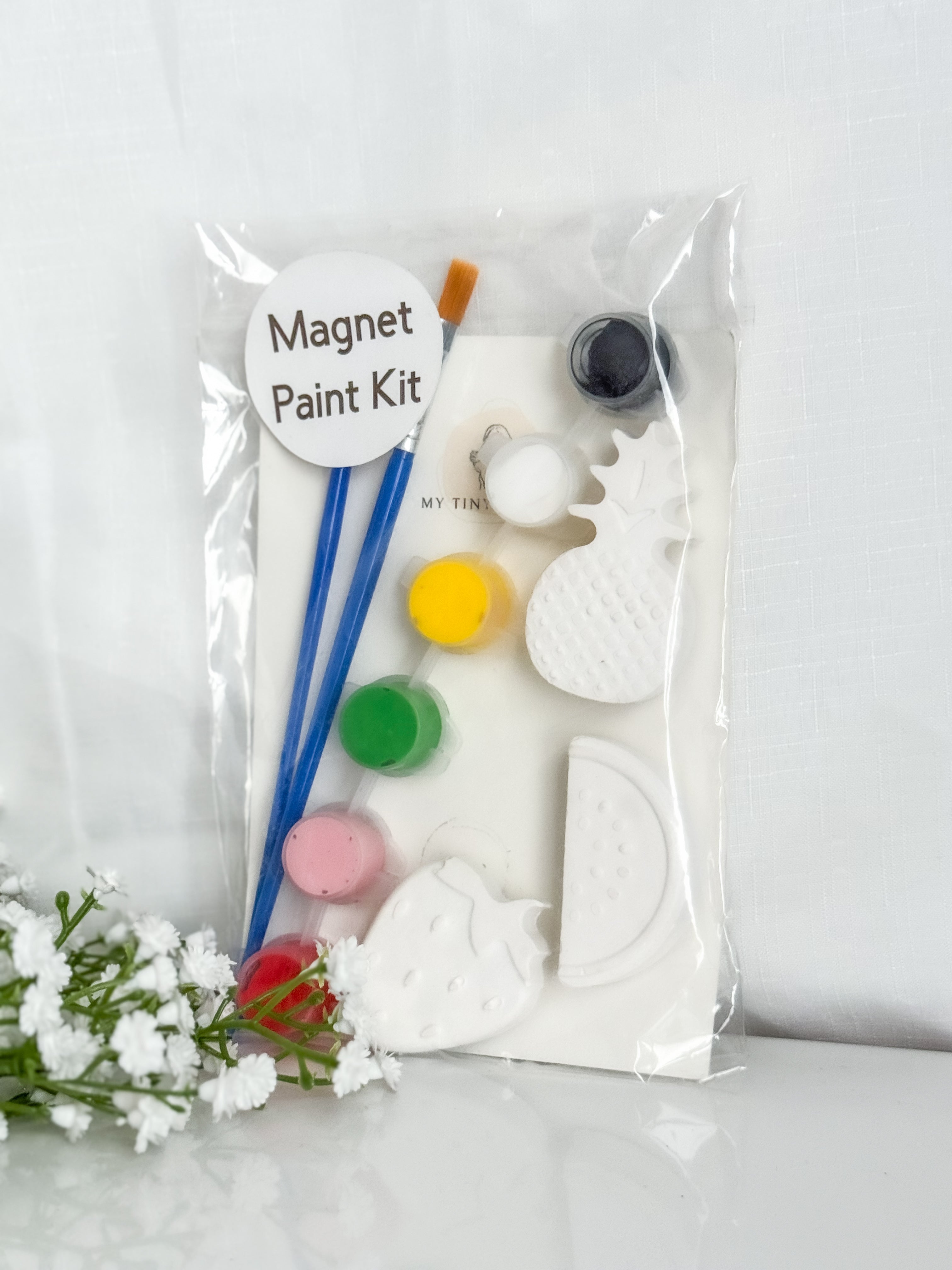 Original Fruit Magnet Paint Kit