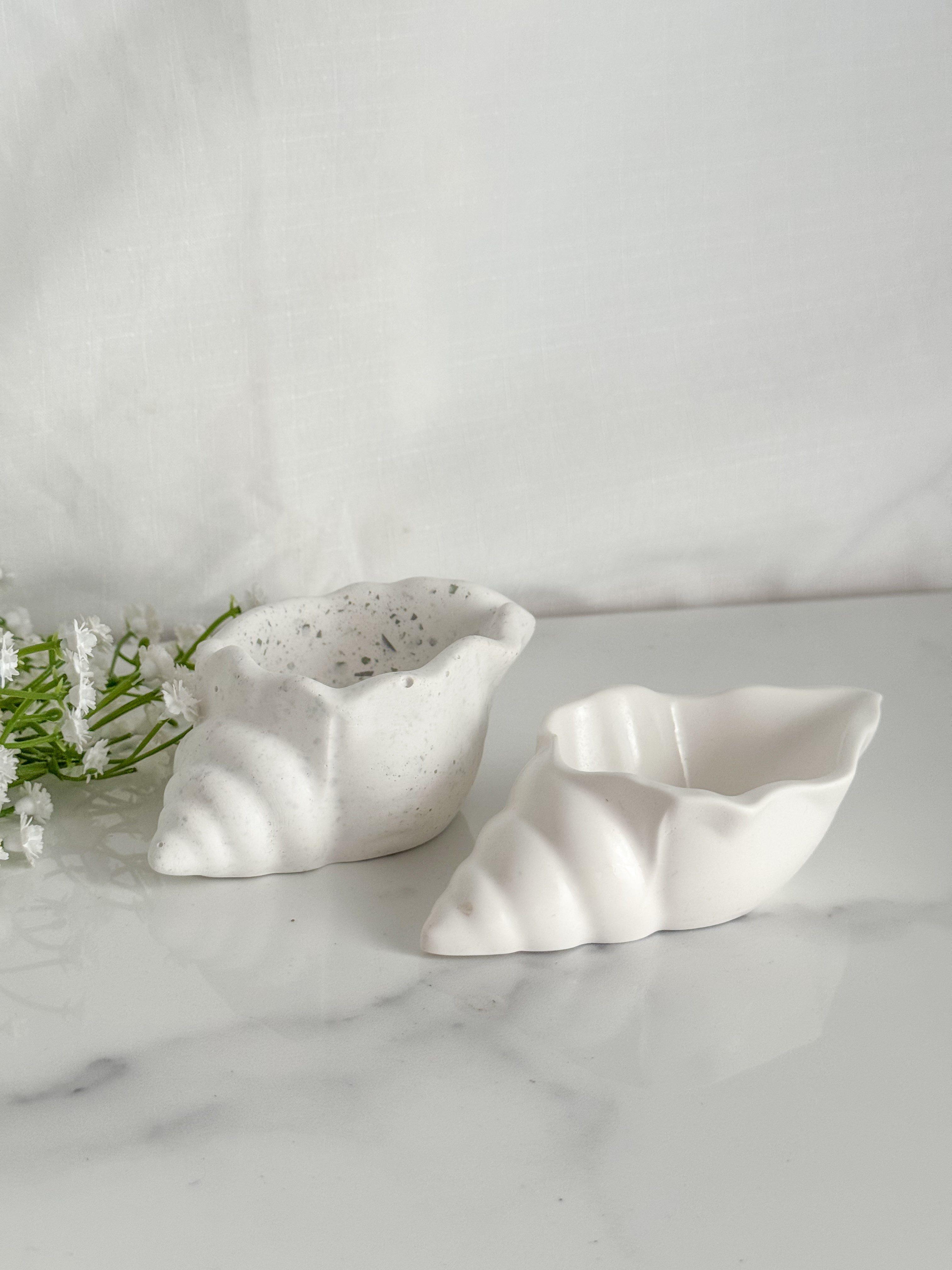 Conch Shell Ring Dish
