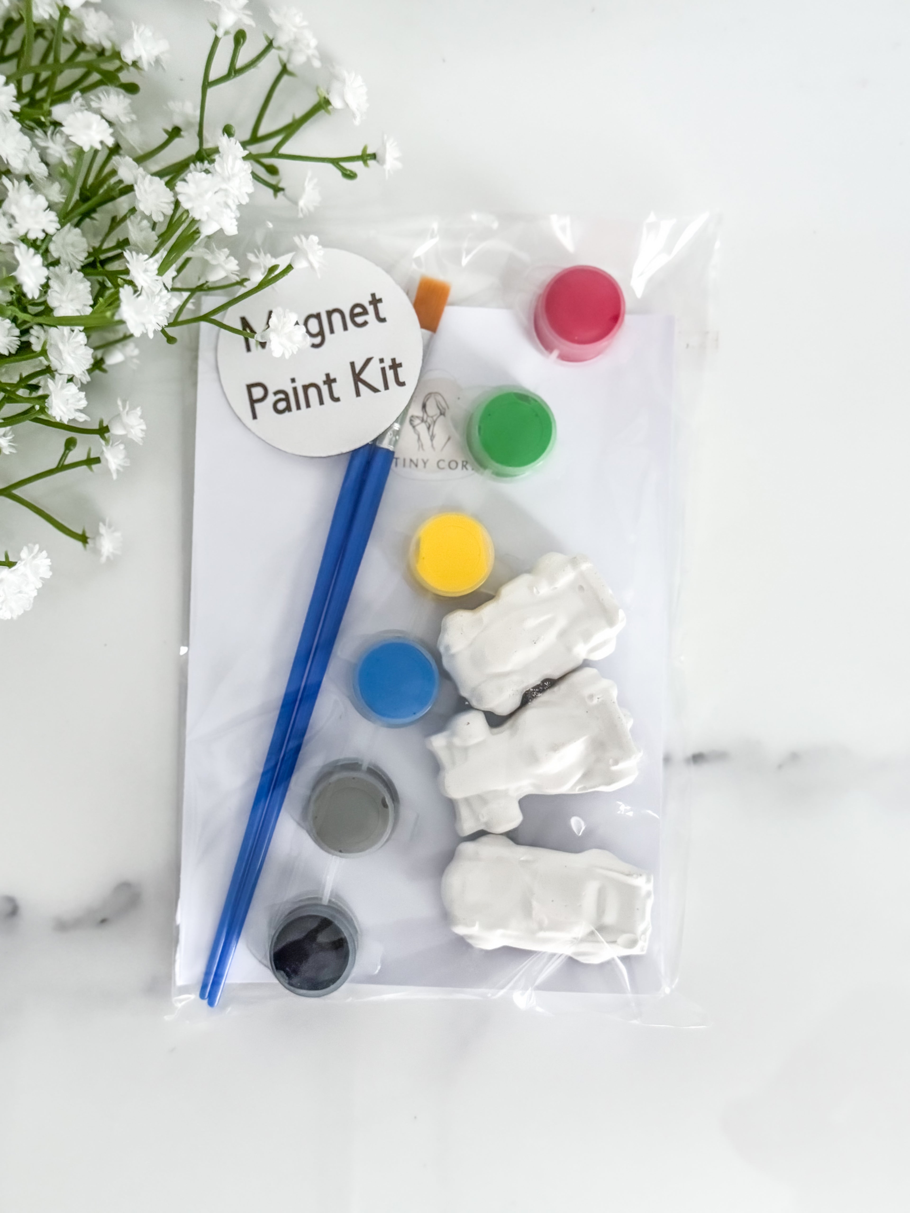 Cars Magnet Paint Kit