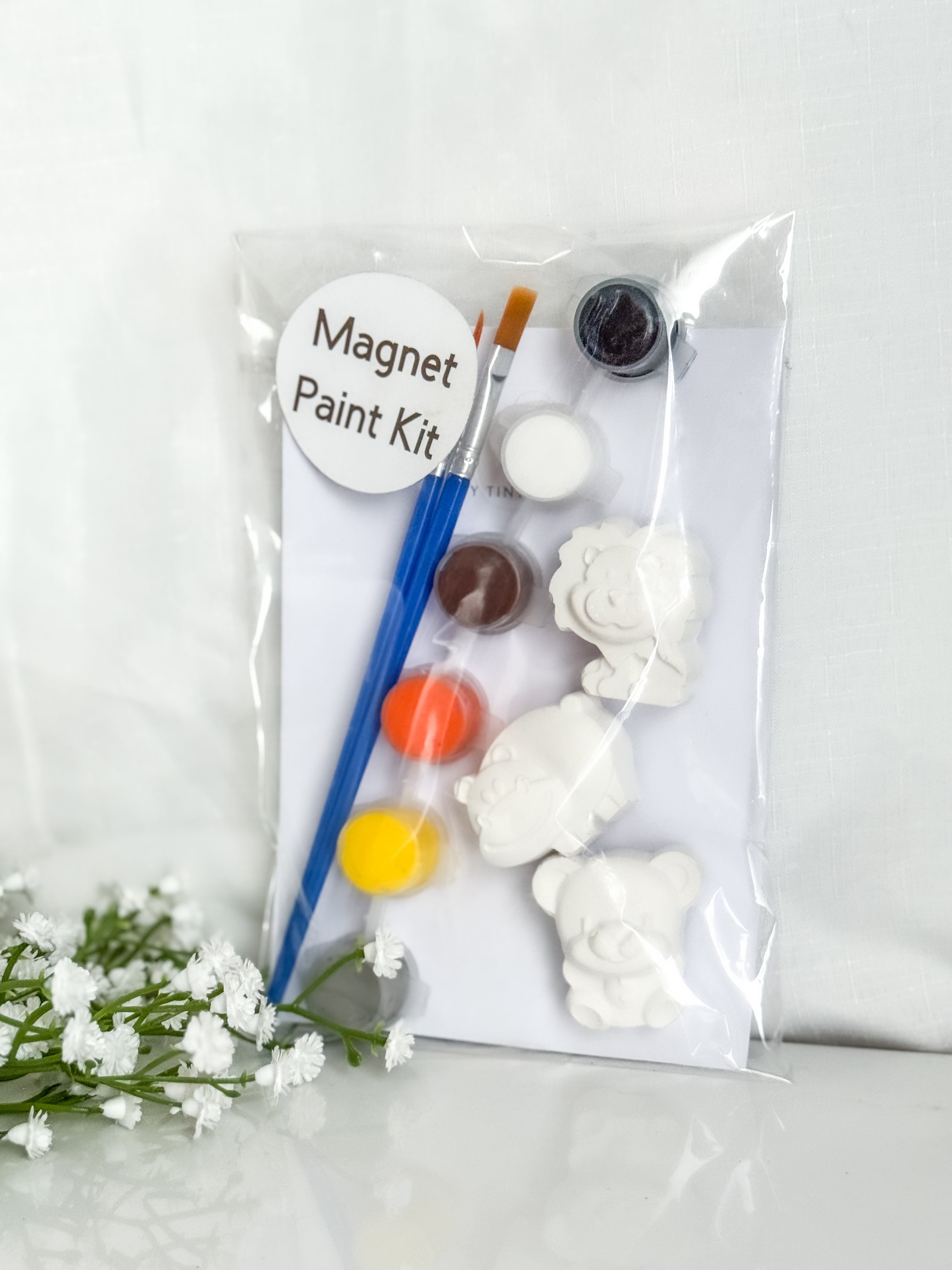 Safari Magnet Paint Kit