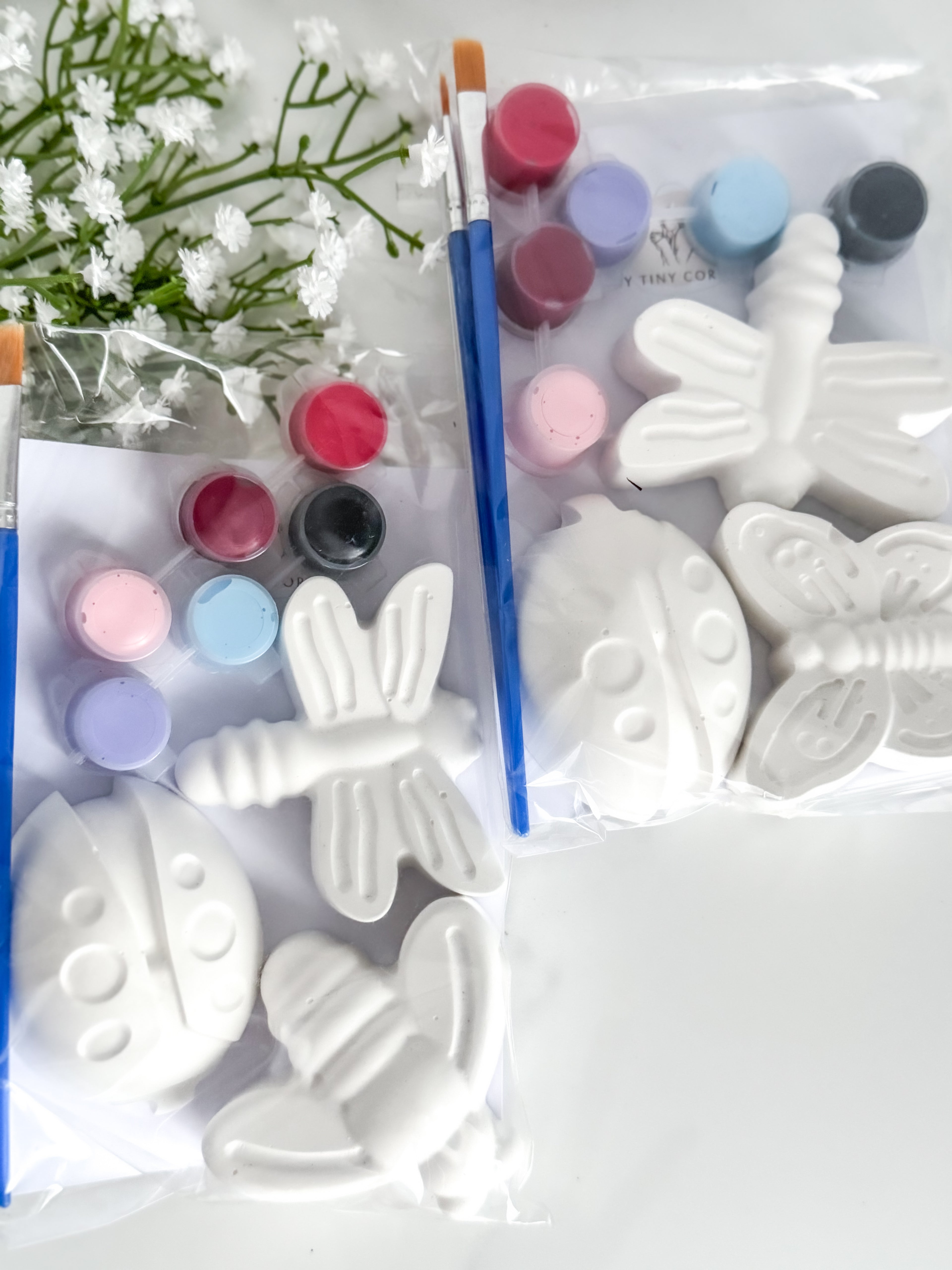 Bugs Paint Pack