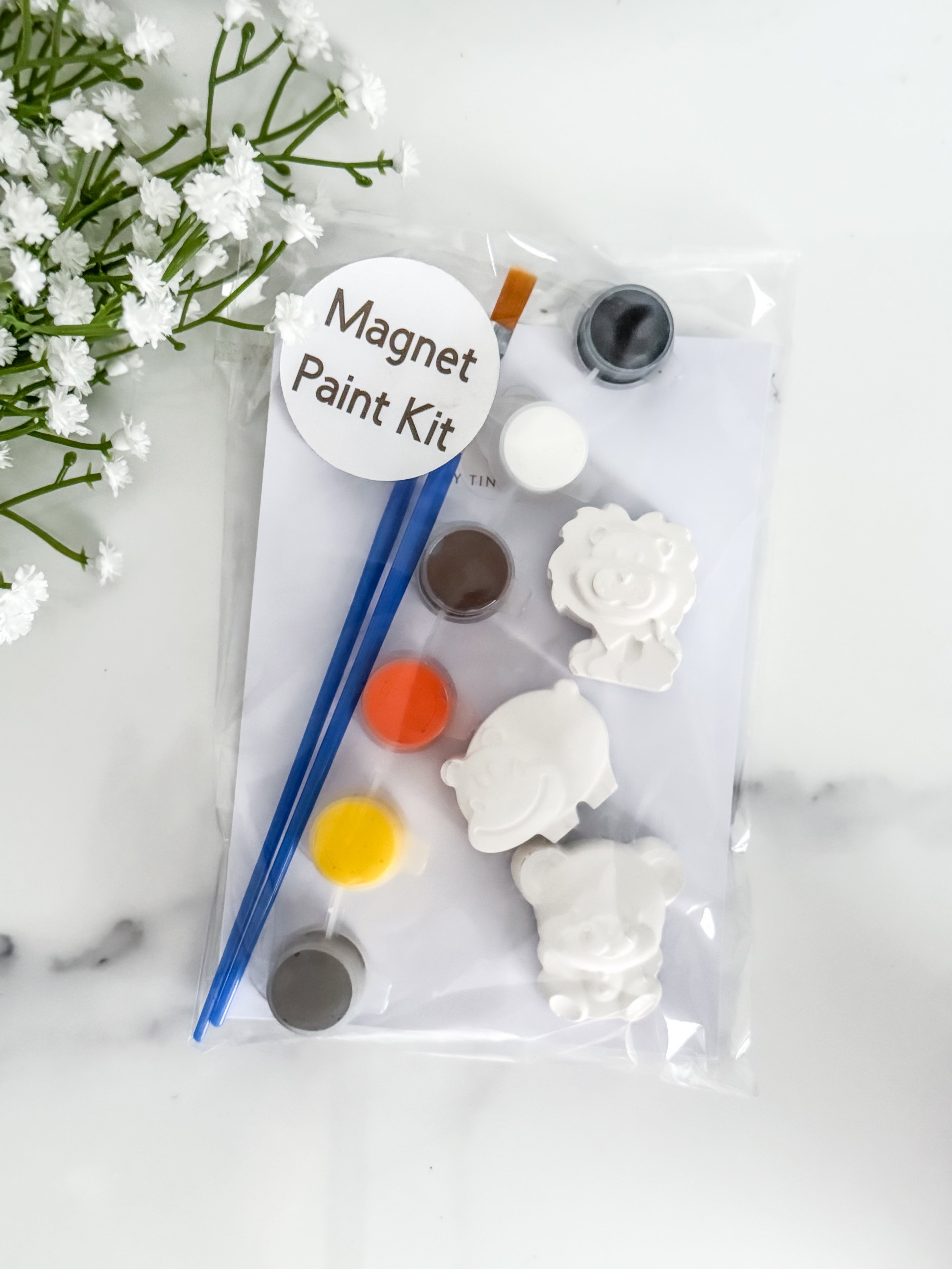 Safari Magnet Paint Kit