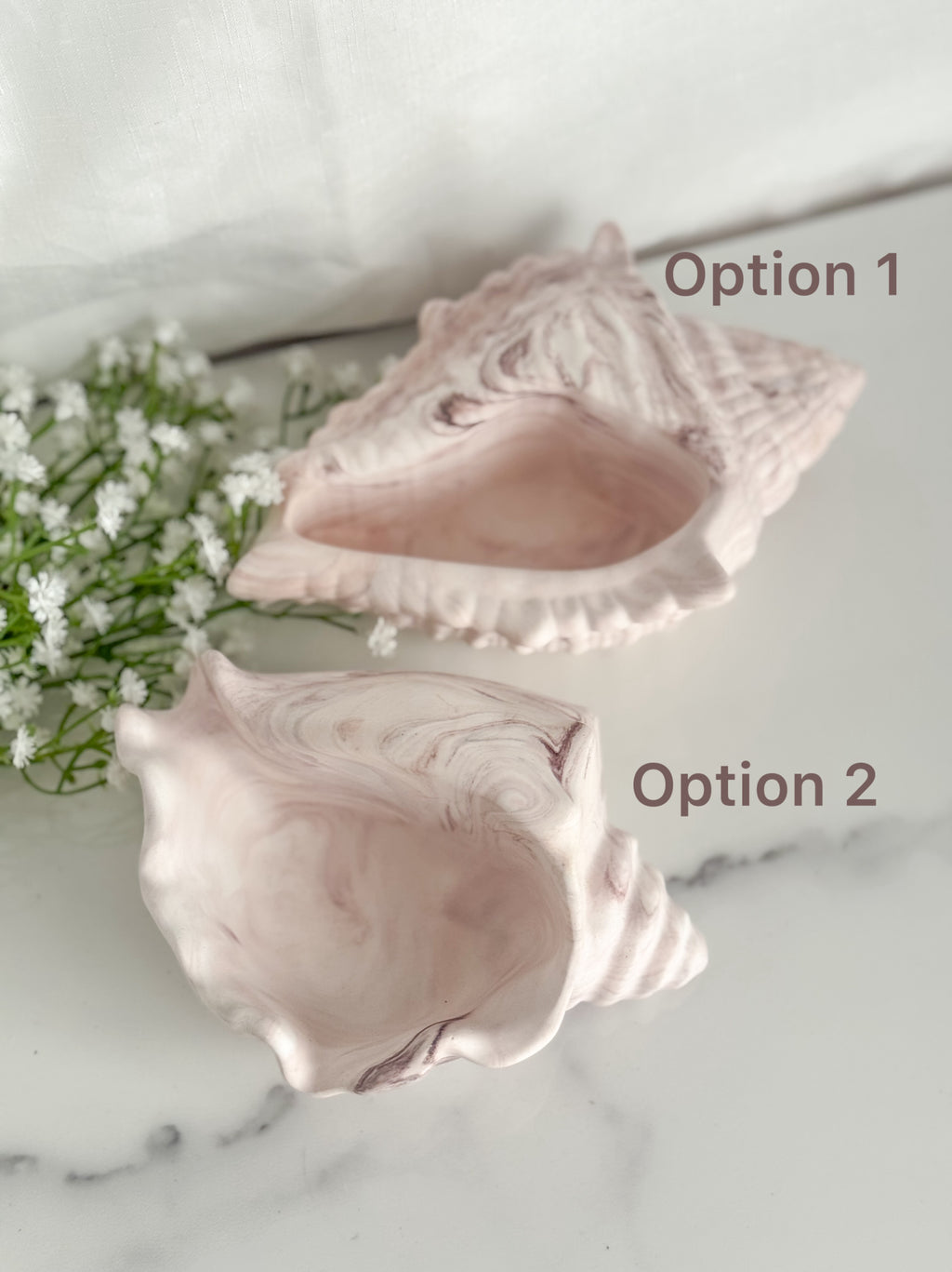 Conch Shells