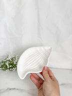 Conch Shell Tray