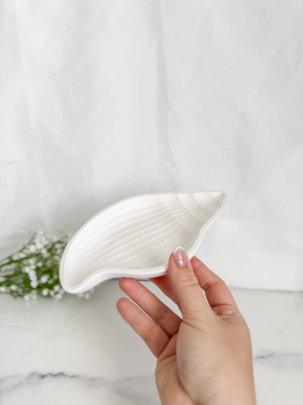 Conch Shell Tray