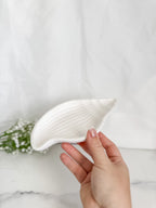 Conch Shell Tray