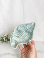 Conch Shell Tray