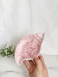 Conch Shell Tray