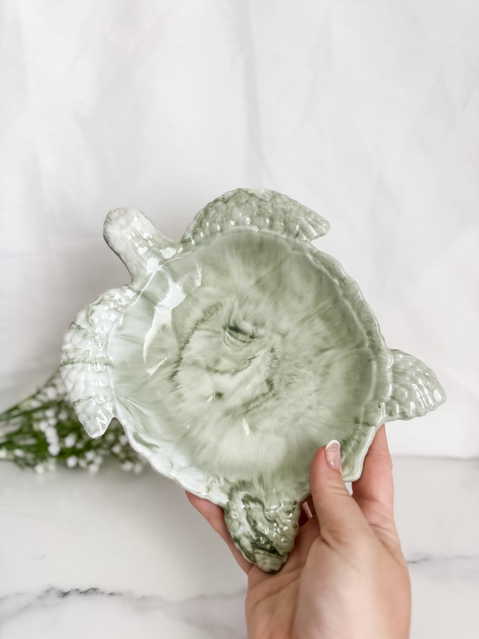 Turtle Bowl