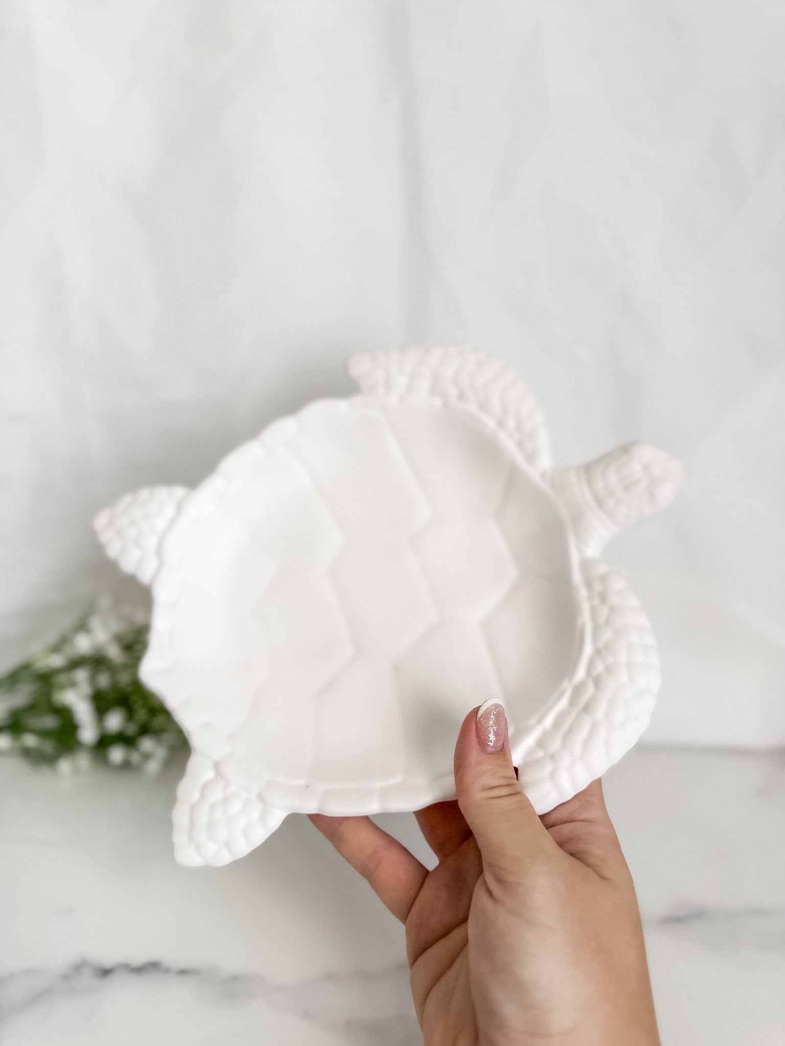 Turtle Bowl