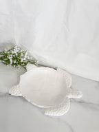 Turtle Bowl