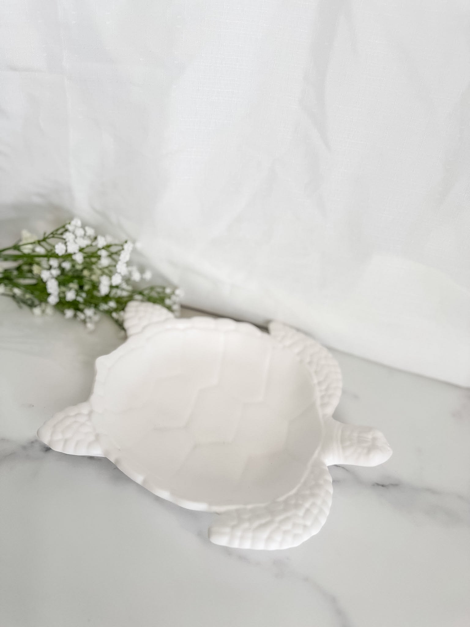 Turtle Bowl