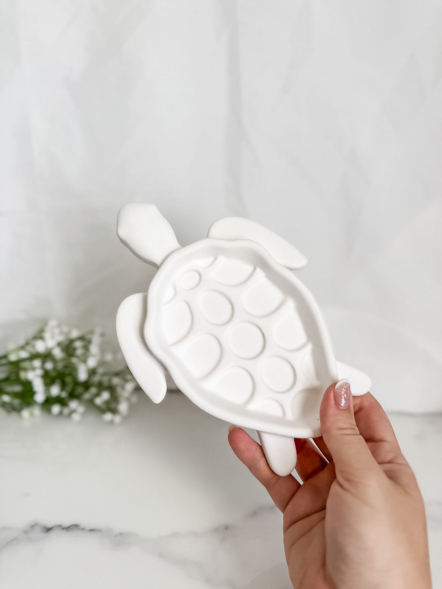 Turtle Tray