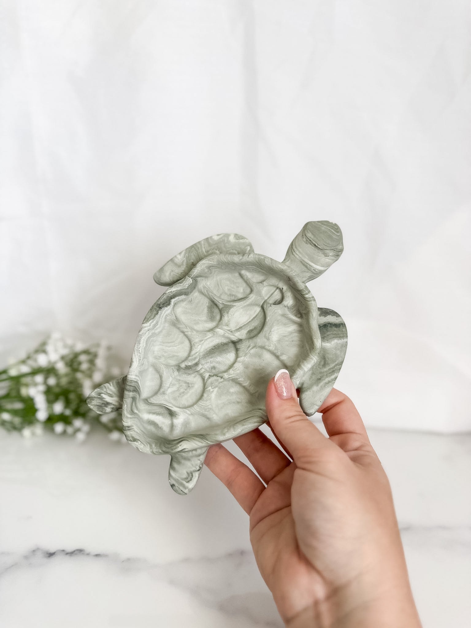 Turtle Tray
