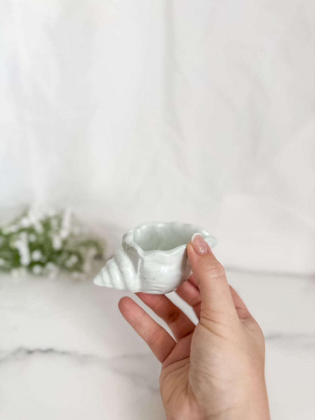 Conch Shell Ring Dish