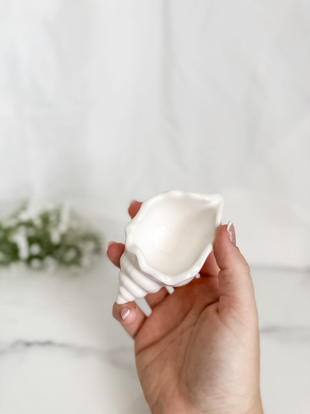 Conch Shell Ring Dish