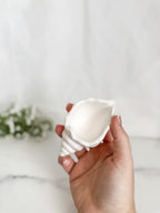 Conch Shell Ring Dish
