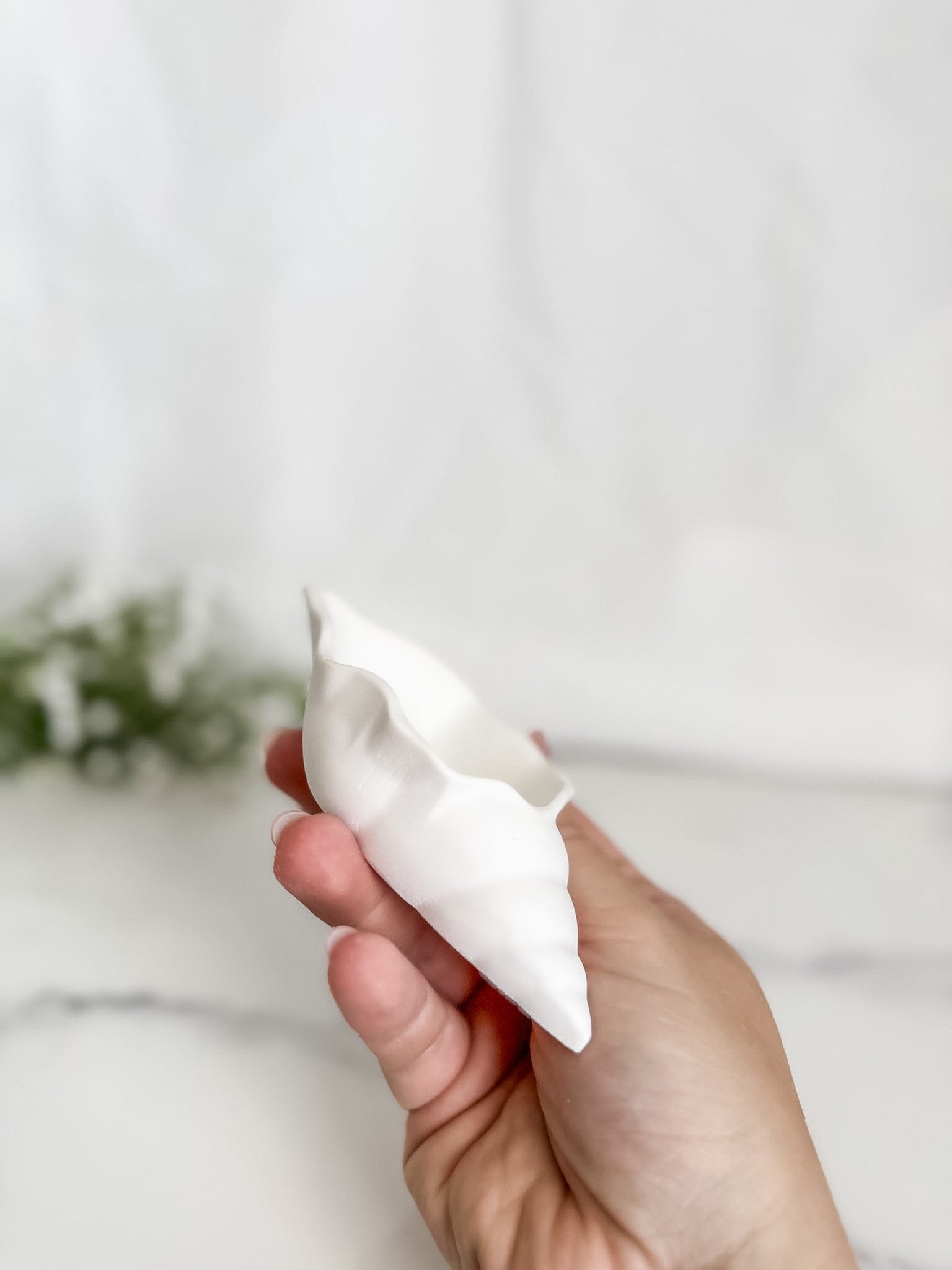Conch Shell Ring Dish