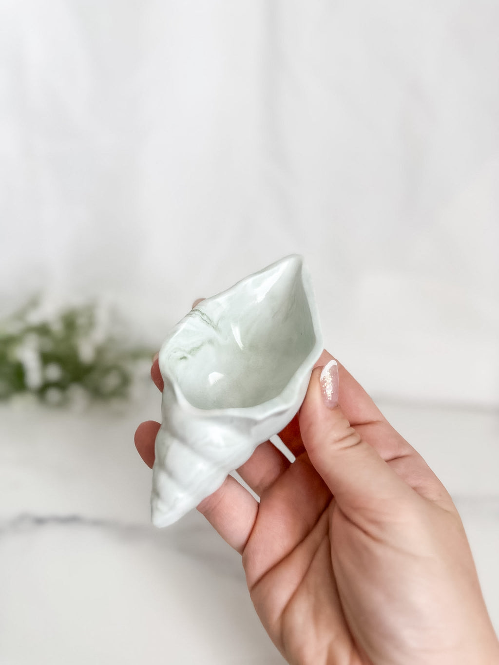 Conch Shell Ring Dish