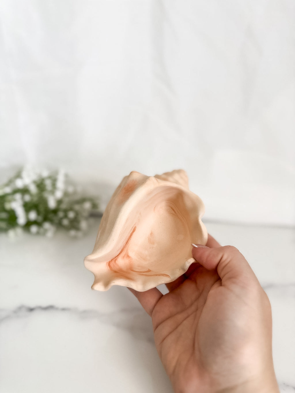 Conch Shells
