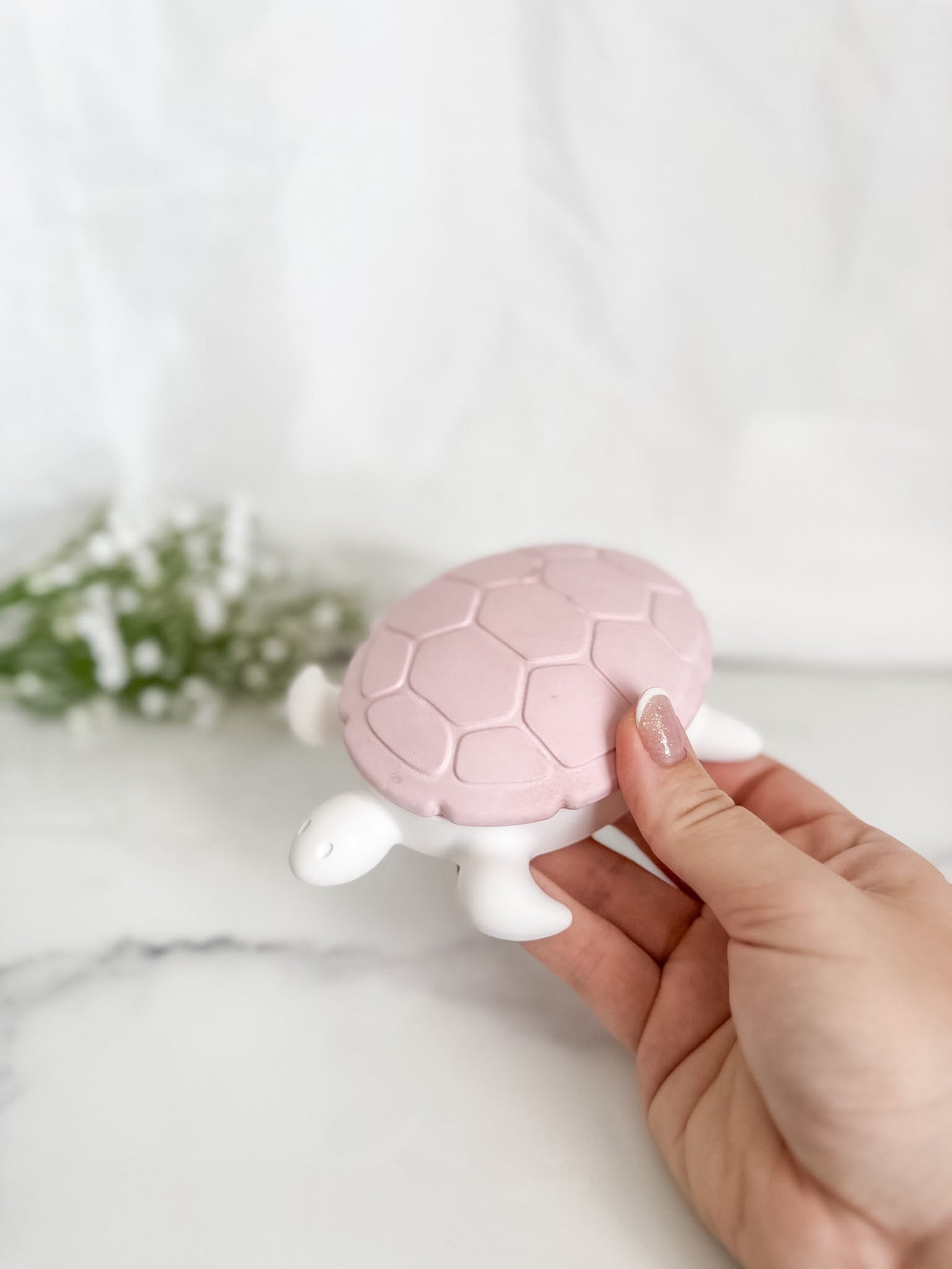 Turtle Trinket Box
