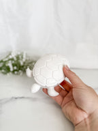 Turtle Trinket Box