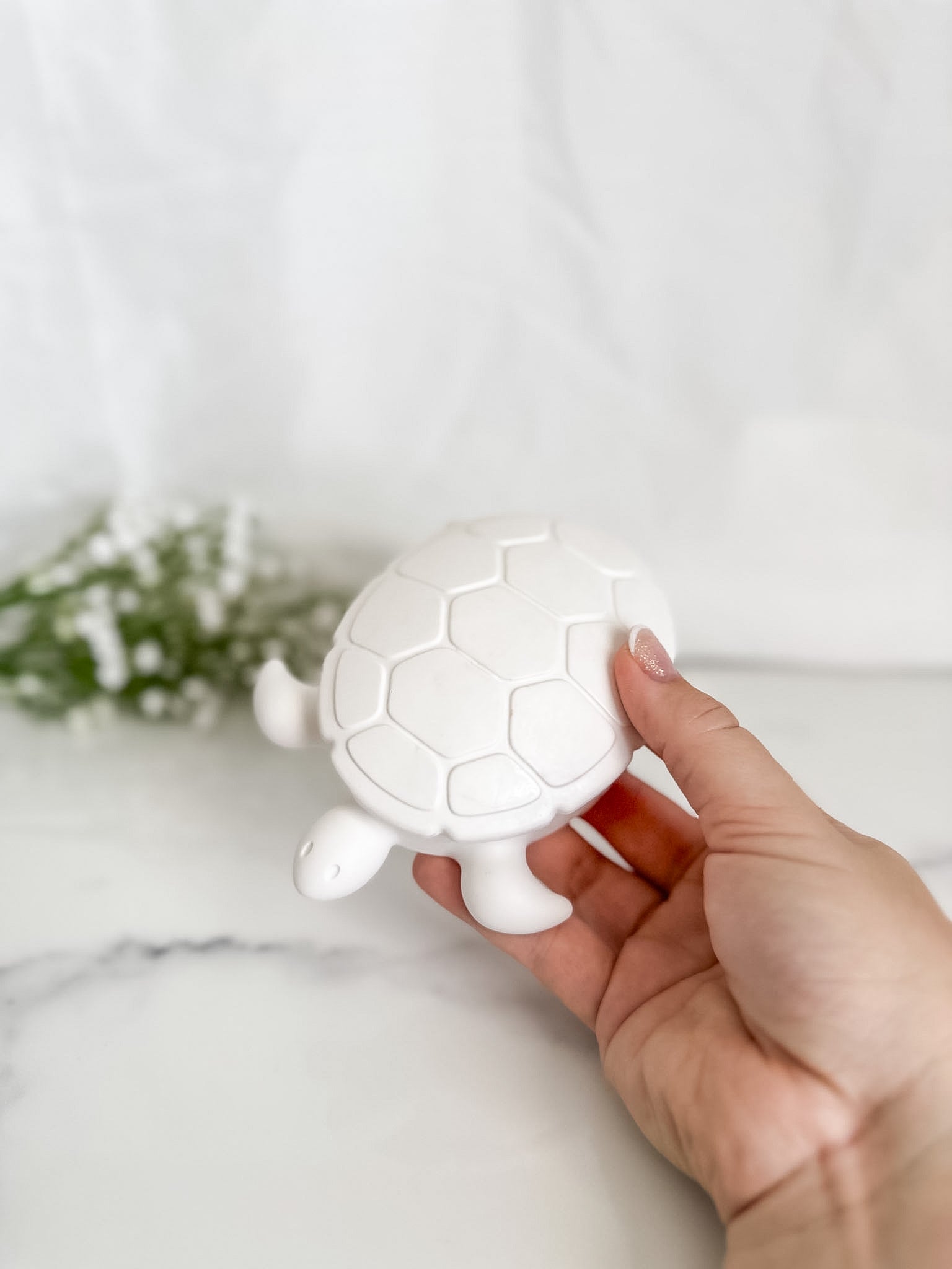 Turtle Trinket Box