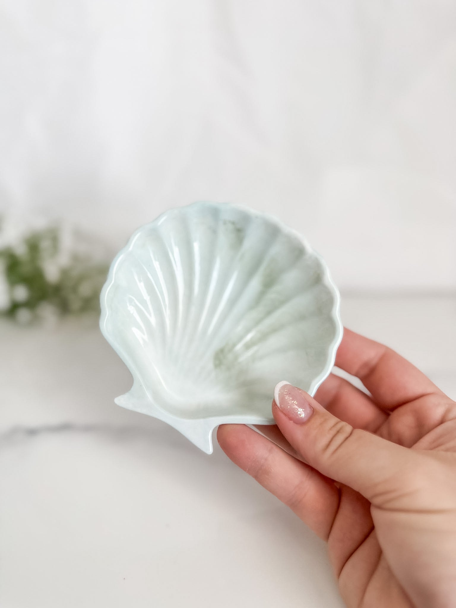 Clam Ring Tray