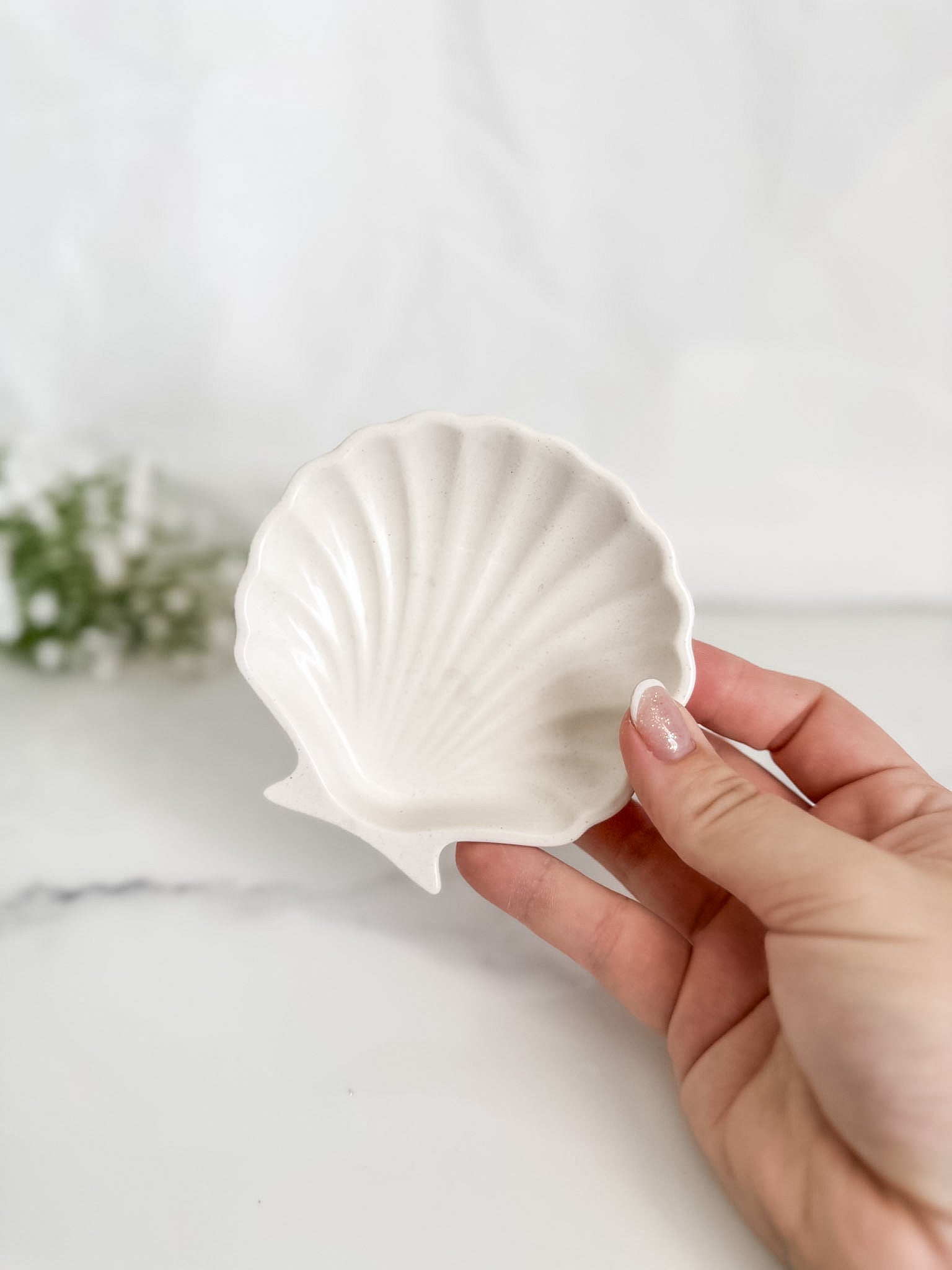 Clam Ring Tray