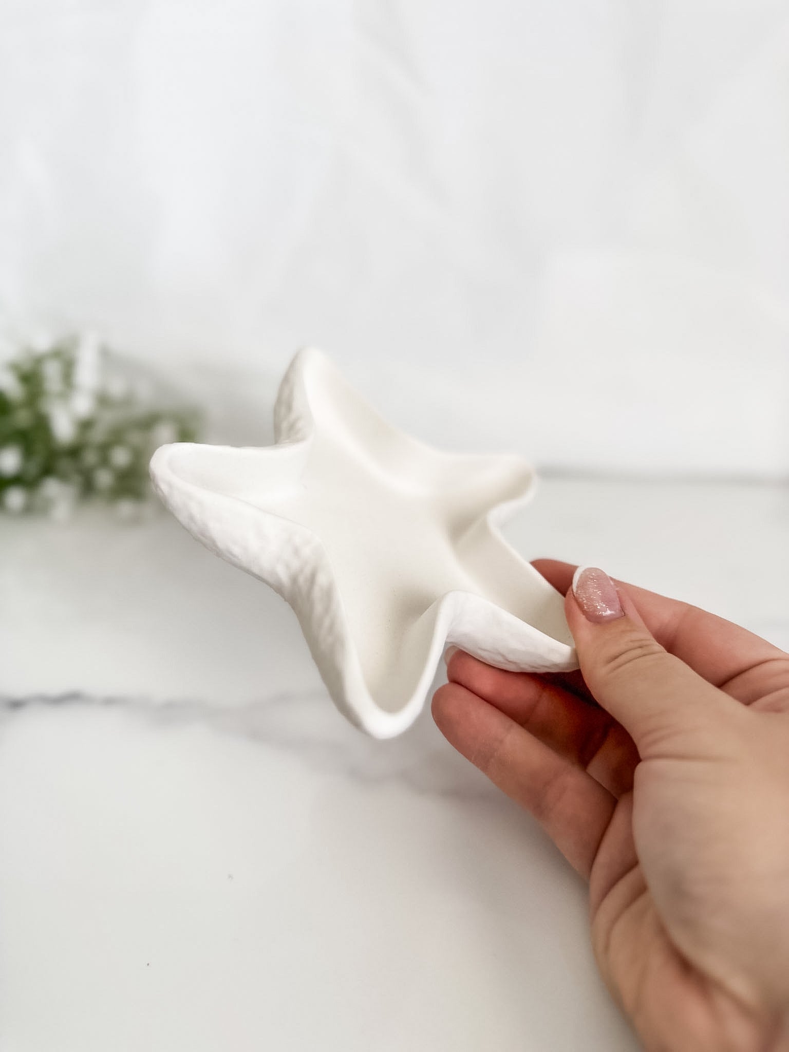 Edged Starfish Tray