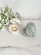 Open Clam Ring Holder
