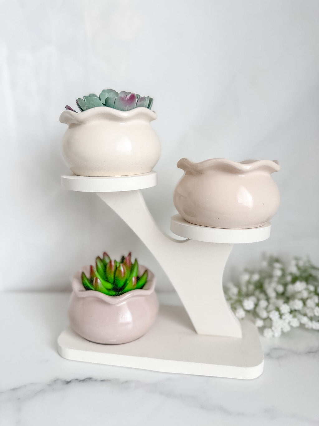 Tree Display Stand